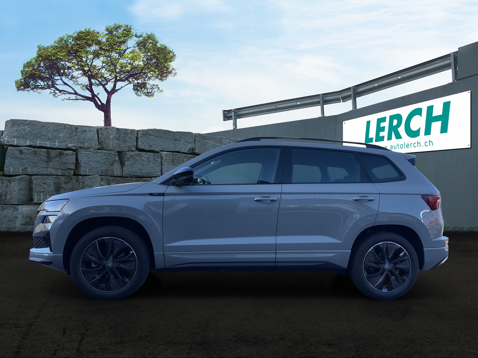 SKODA Karoq 2.0 TSI Dynamic Limited Edition 4x4 DSG-showroom-element-2