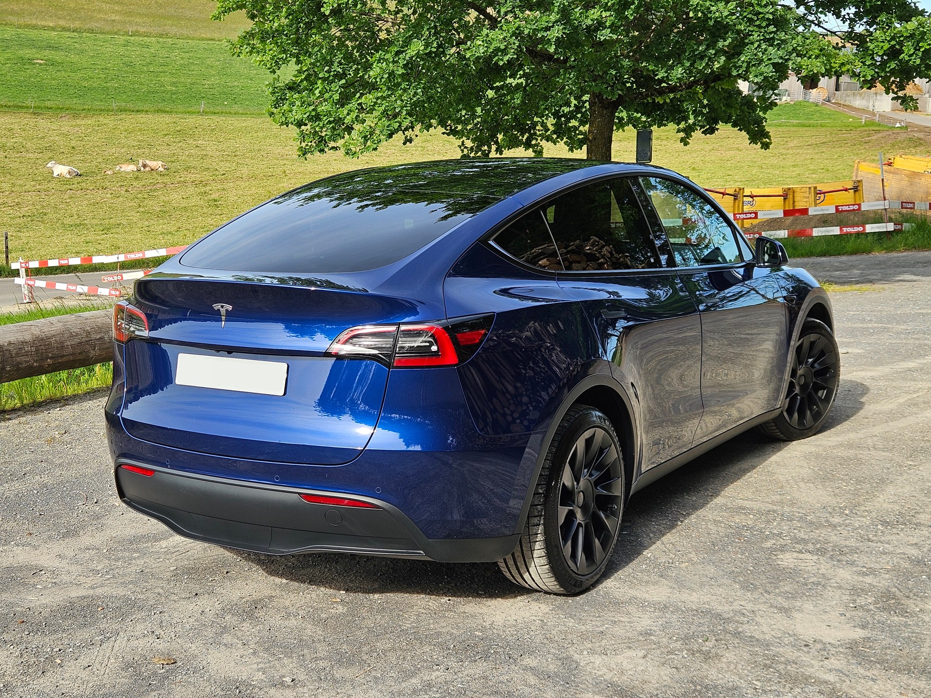 TESLA Model Y Long Range, Enhanced AP, Beschleunigungs Boost-image-6