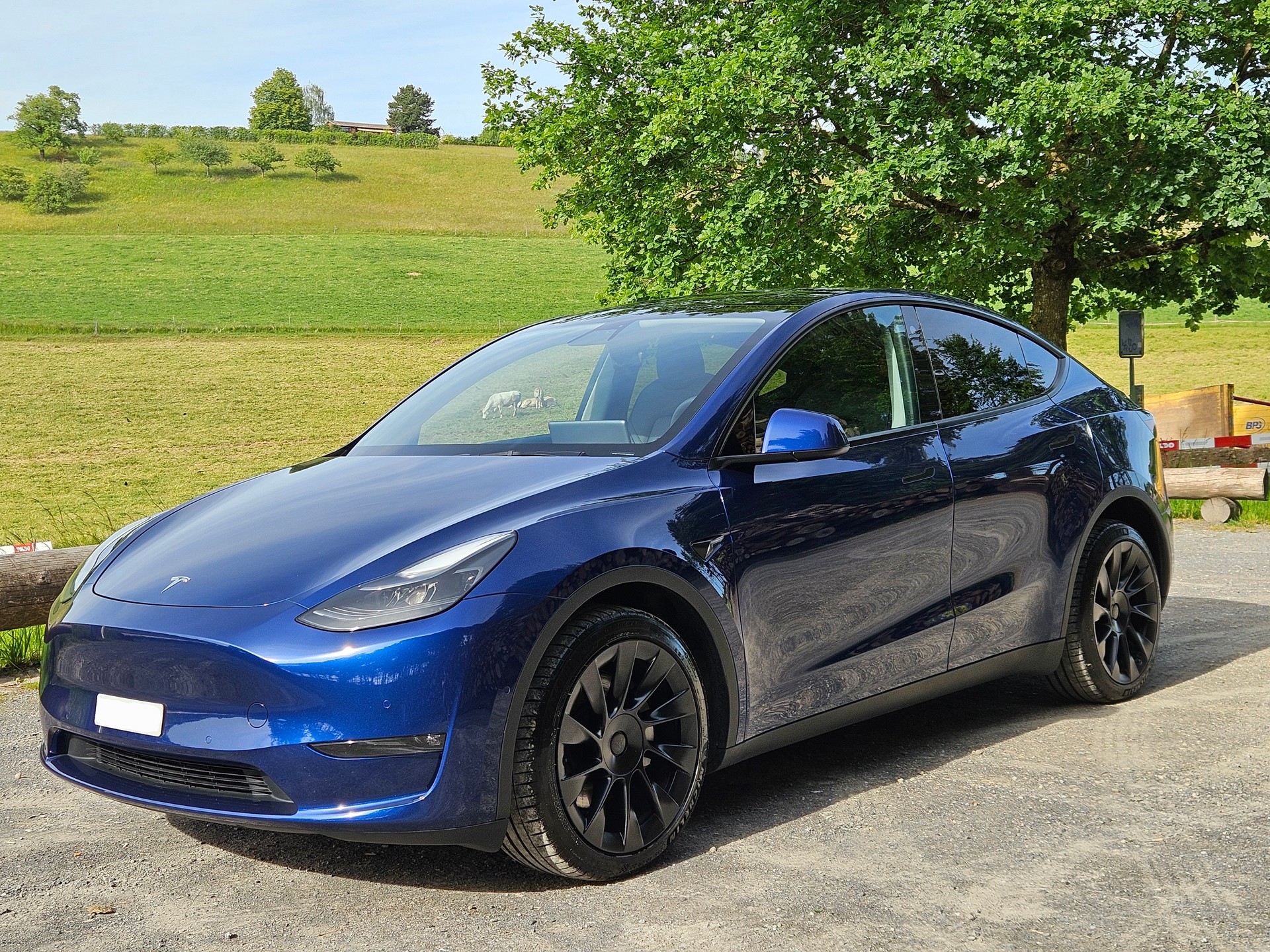TESLA Model Y Long Range, Enhanced AP, Beschleunigungs Boost-image-3