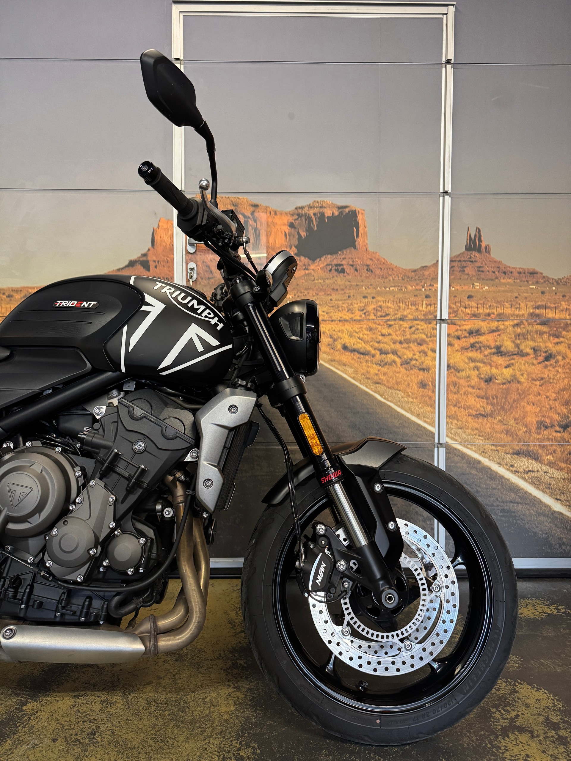 TRIUMPH Trident 660-image-5