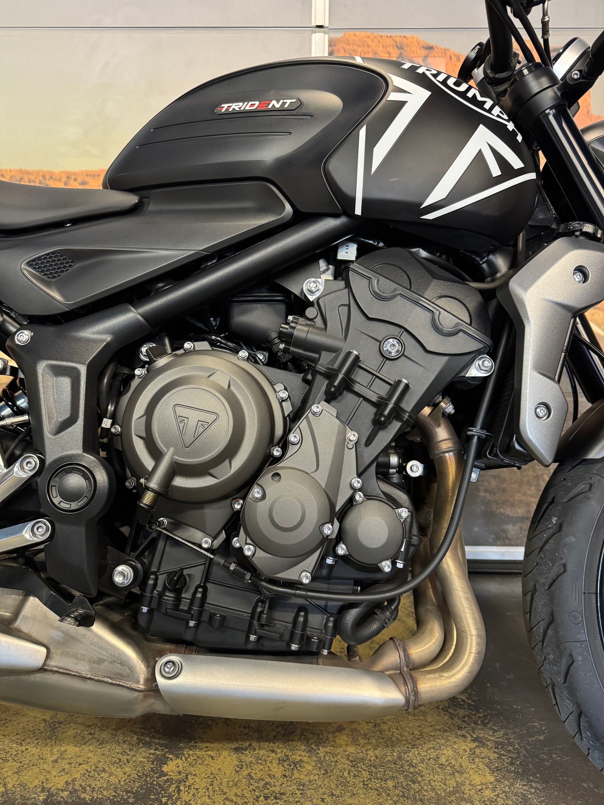 TRIUMPH Trident 660-image-6