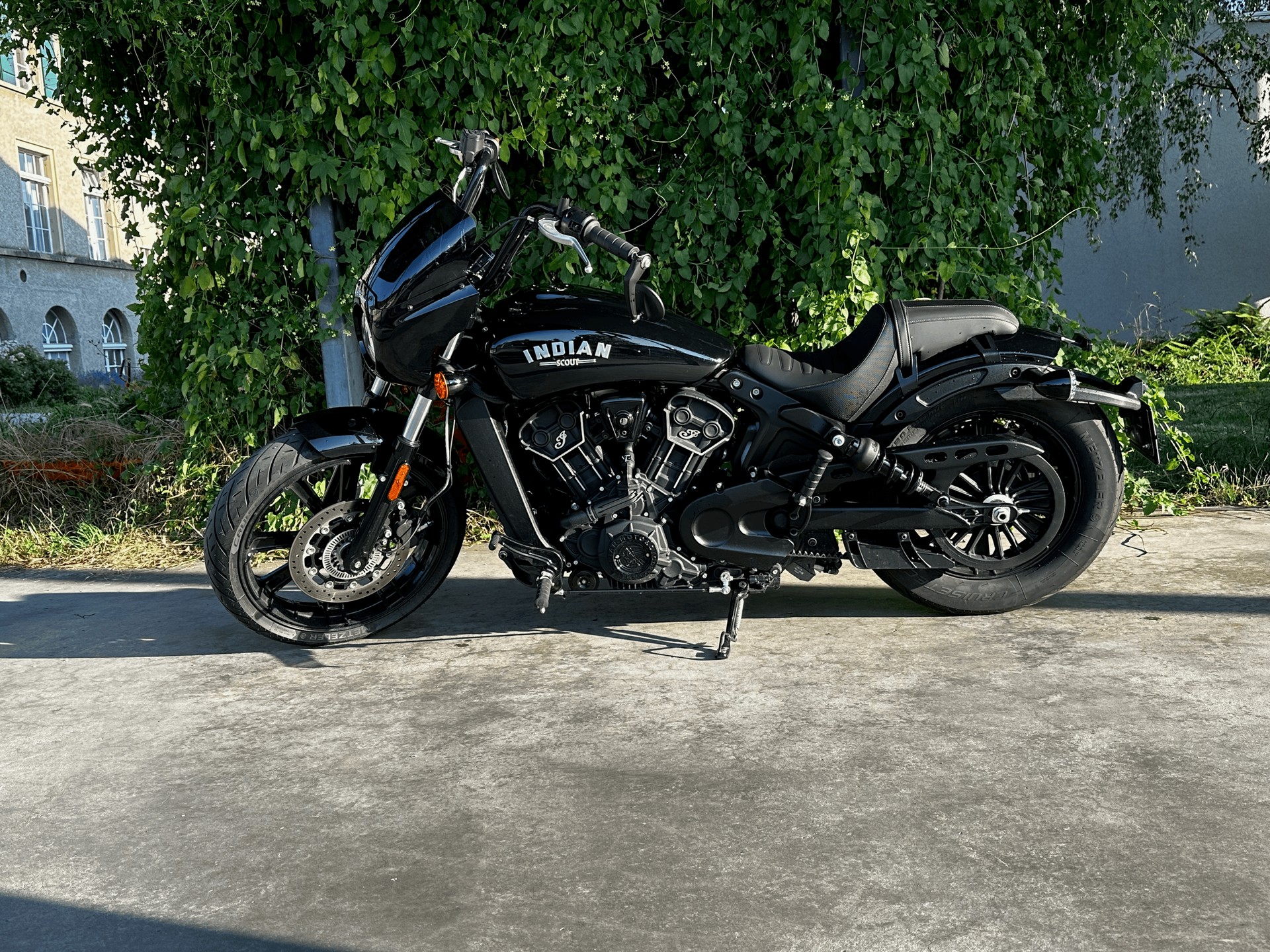 INDIAN Scout 1200 Rogue-image-0