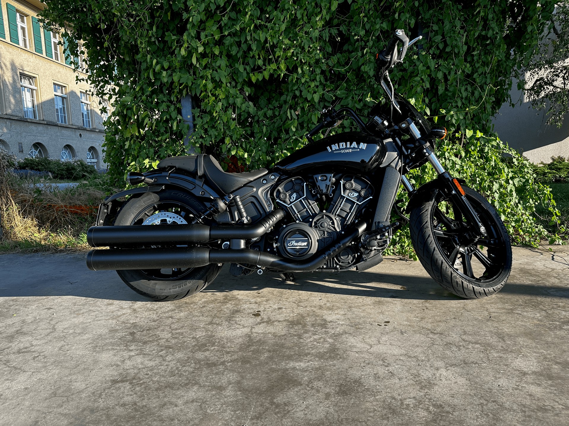 INDIAN Scout 1200 Rogue-image-1