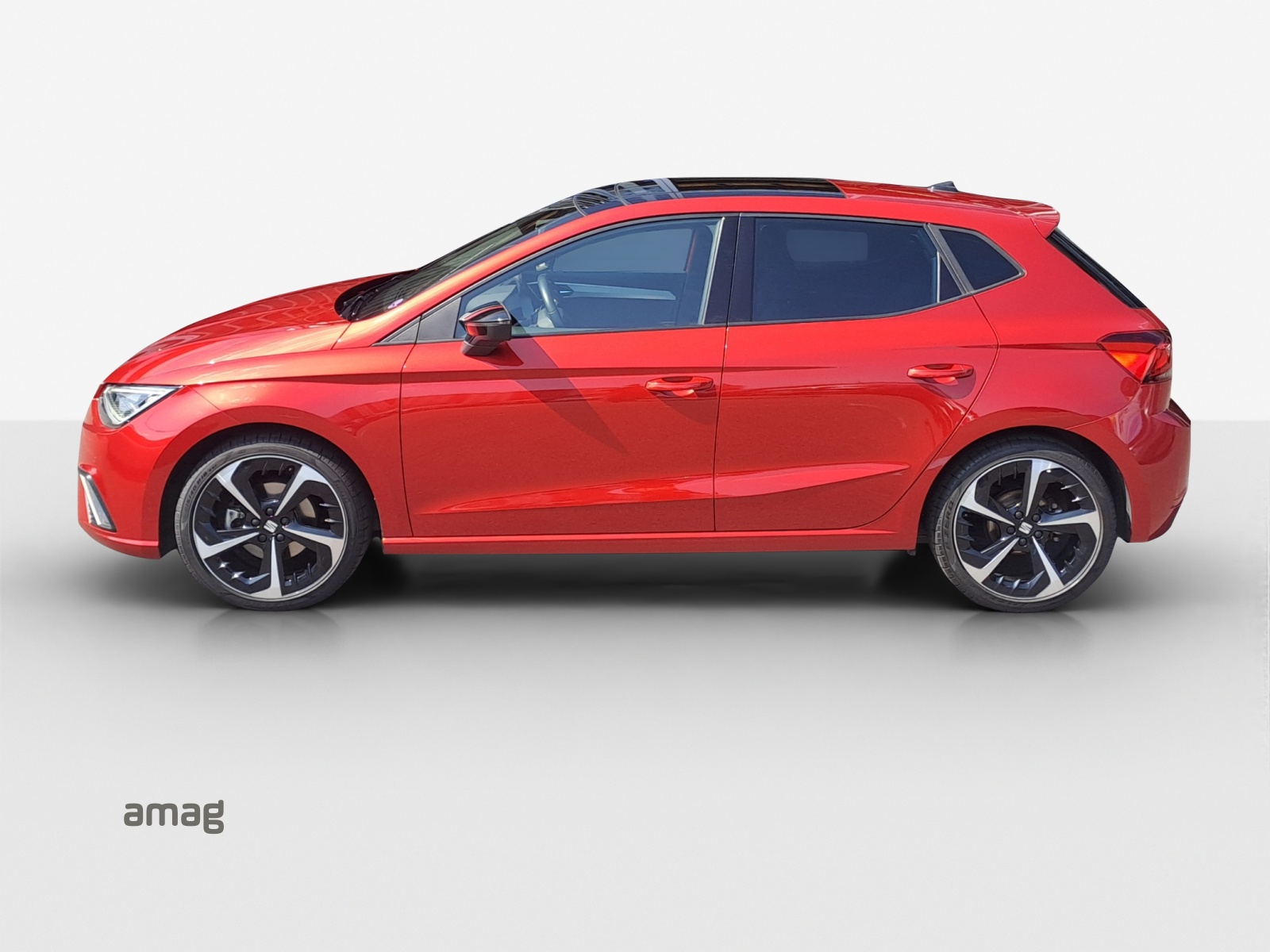 SEAT Ibiza 1.0 EcoTSI Hola FR DSG-showroom-element-1