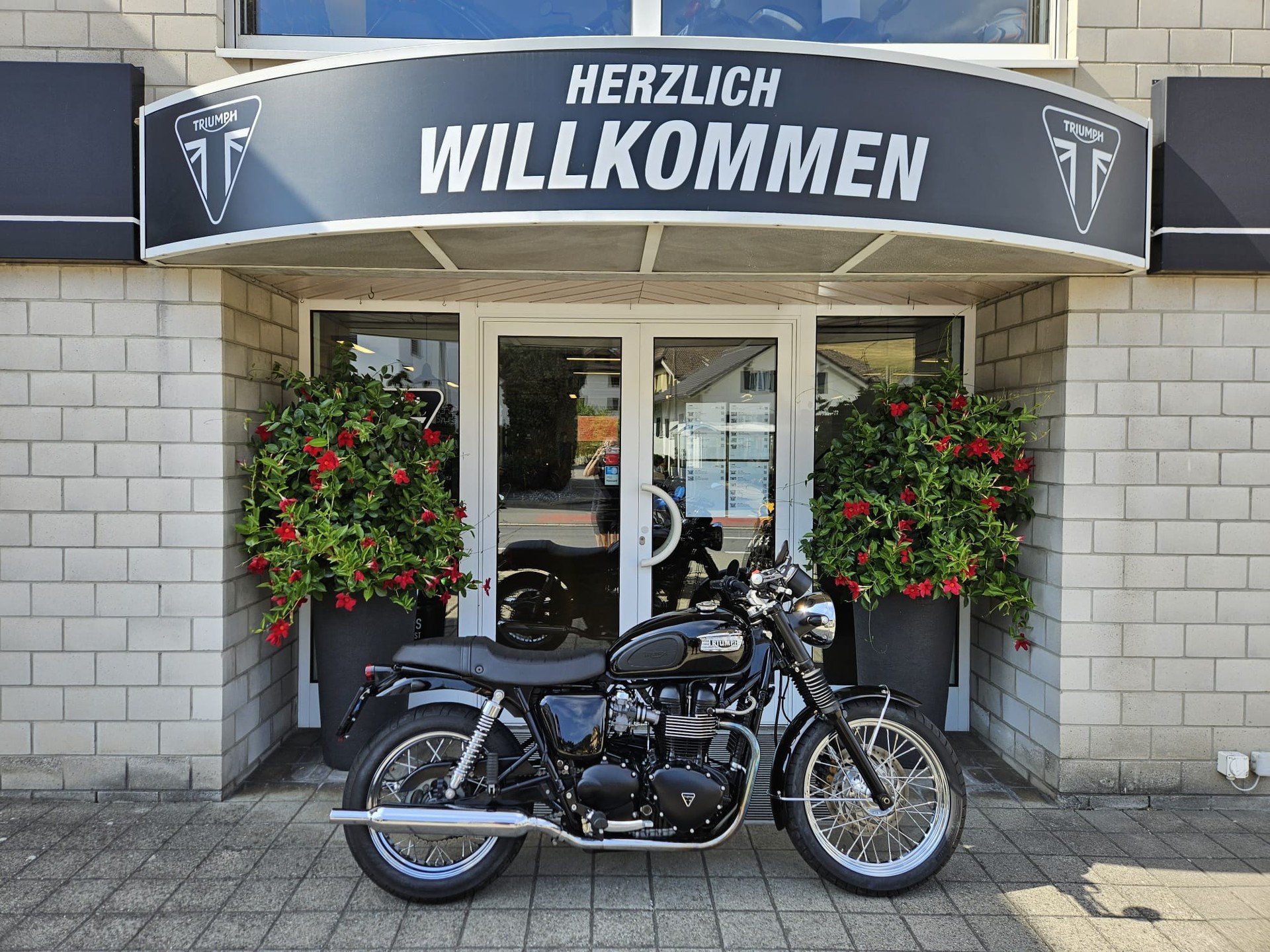 TRIUMPH Bonneville 800-image-0