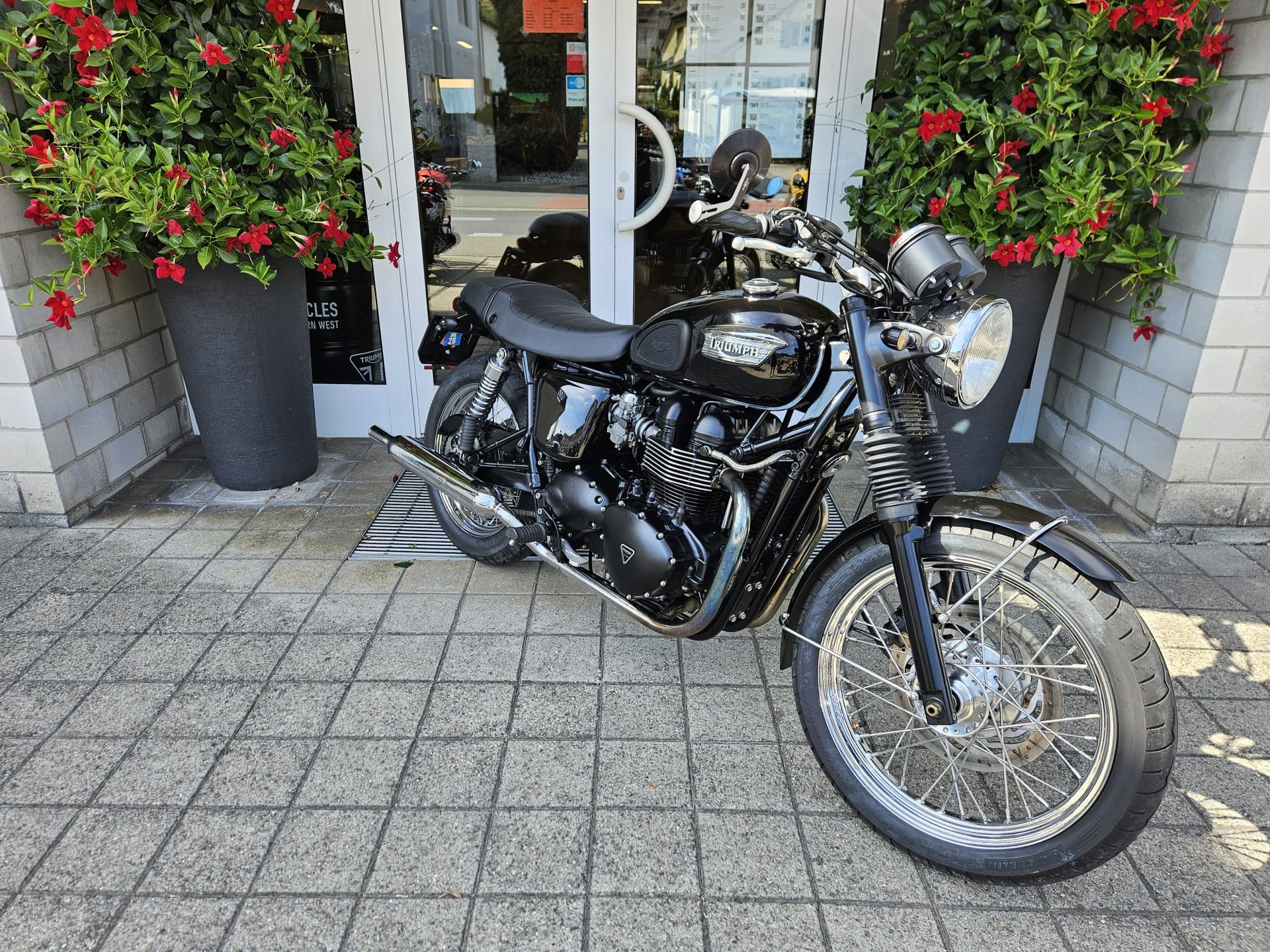 TRIUMPH Bonneville 800-image-2