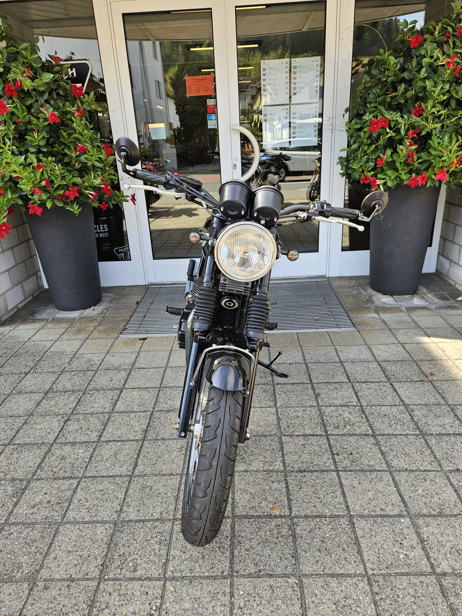 TRIUMPH Bonneville 800-image-6