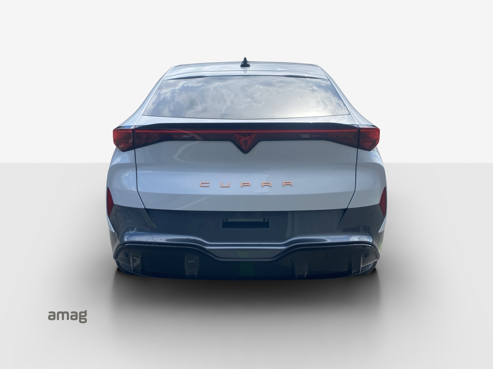 CUPRA Tavascan Type 4 77 kWh Endurance Edge-showroom-element-3
