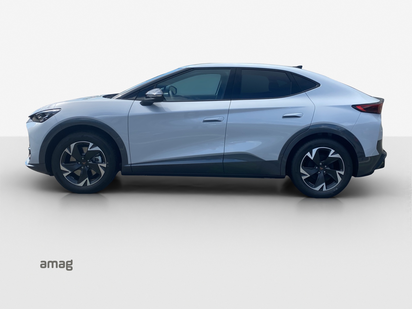 CUPRA Tavascan Type 4 77 kWh Endurance Edge-showroom-element-1