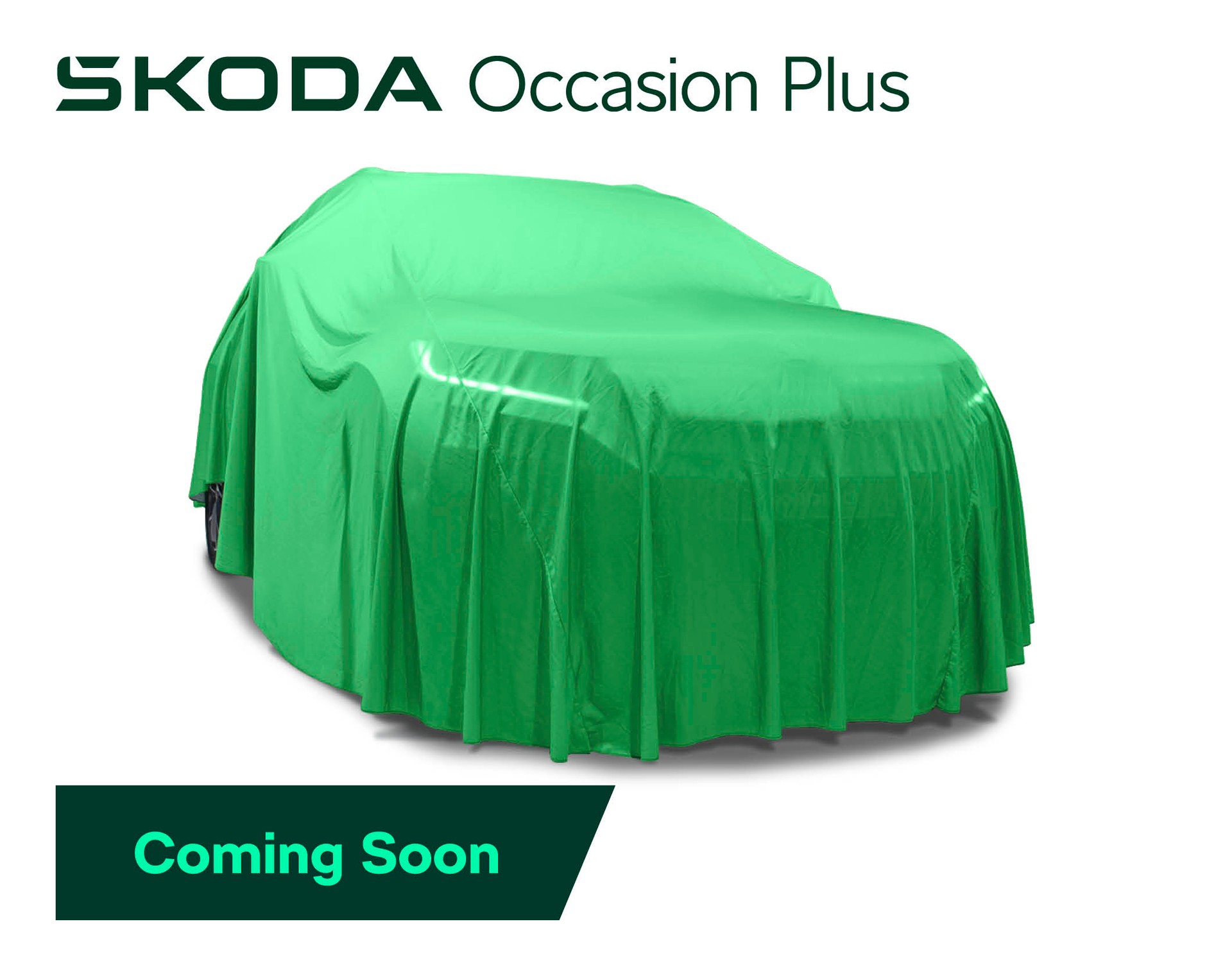 SKODA Karoq 2.0 TDI CR Style 4x4 DSG