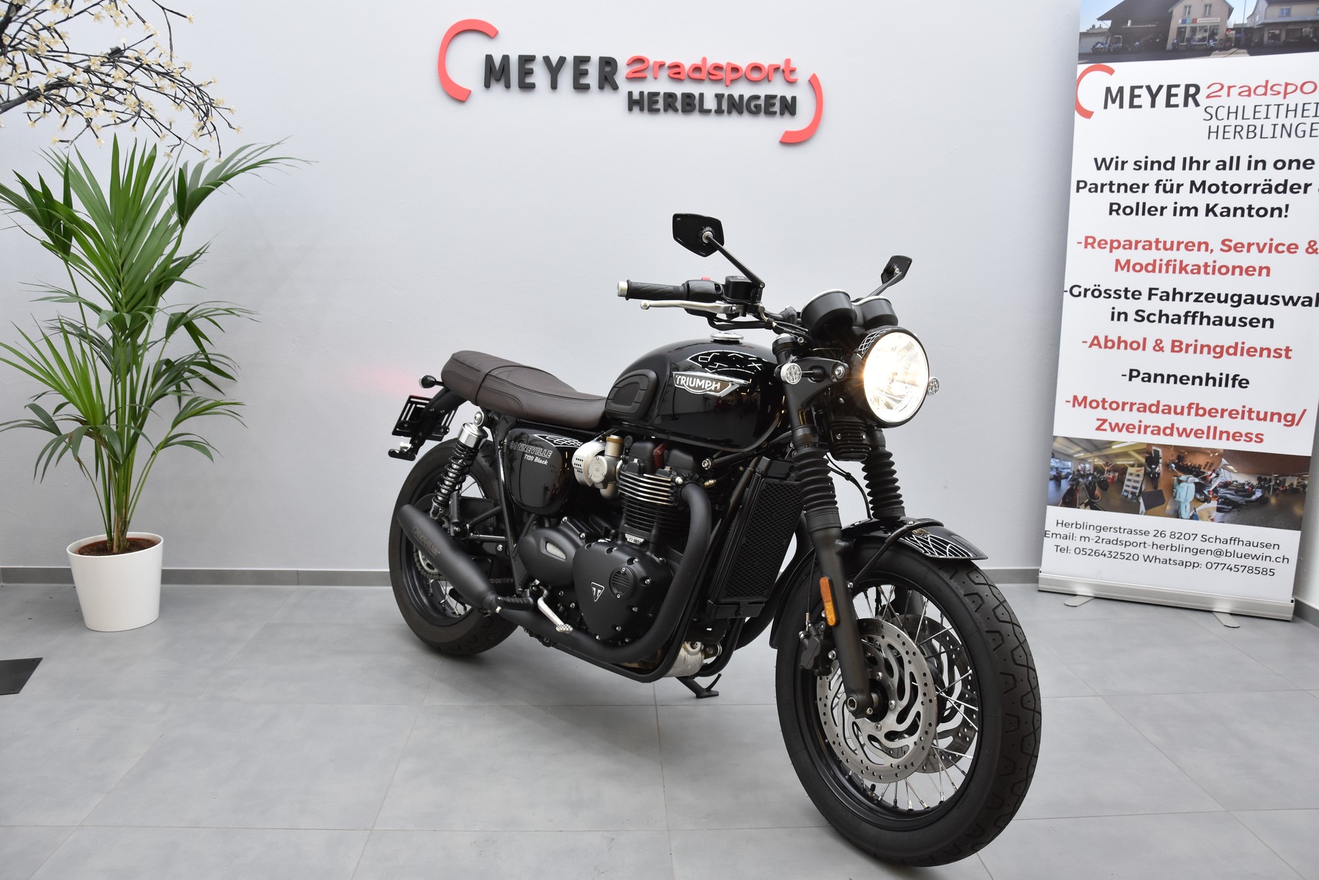 TRIUMPH Bonneville T120 ABS-image-0