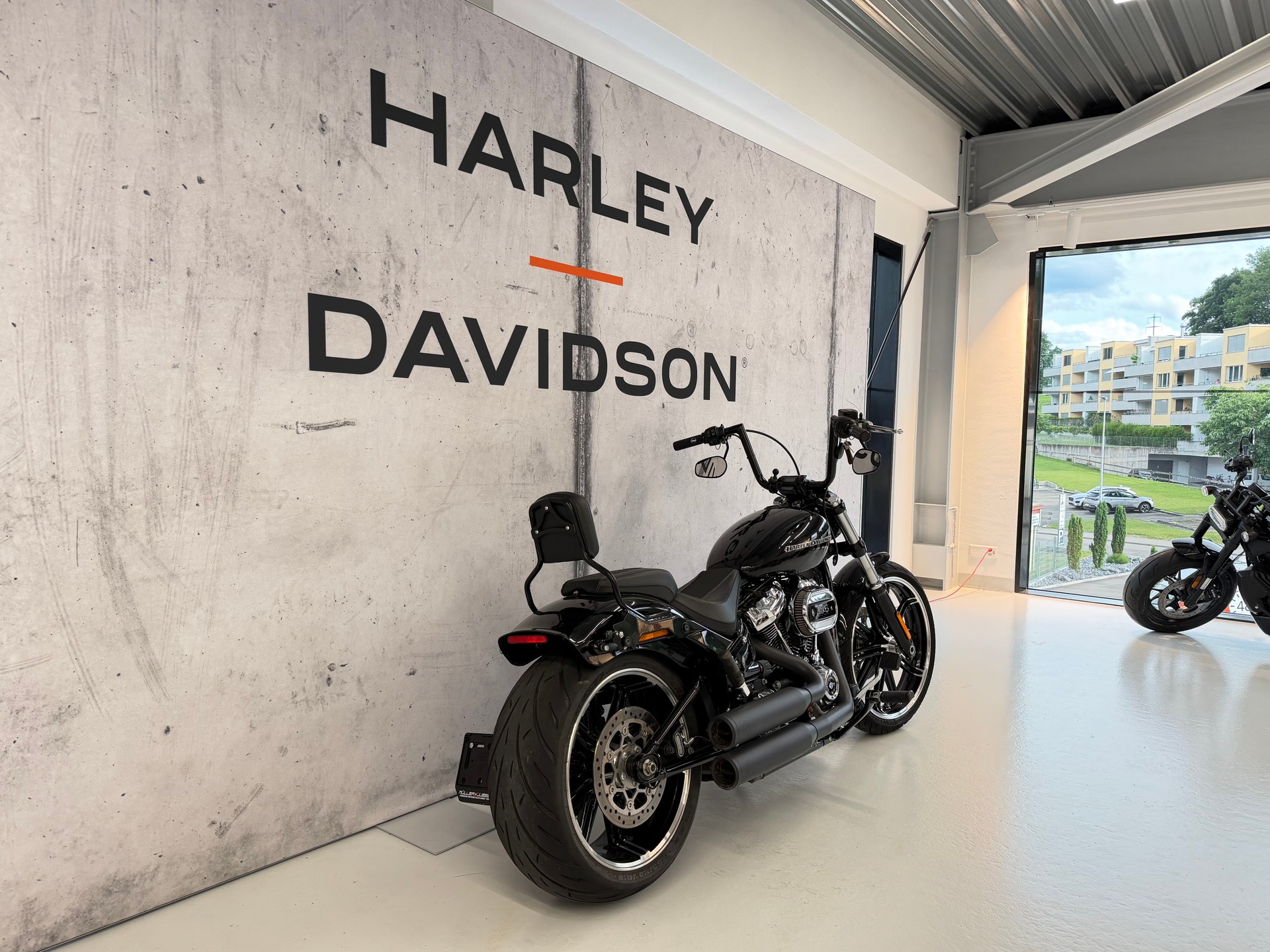 HARLEY-DAVIDSON FXBRS Breakout 114-image-2