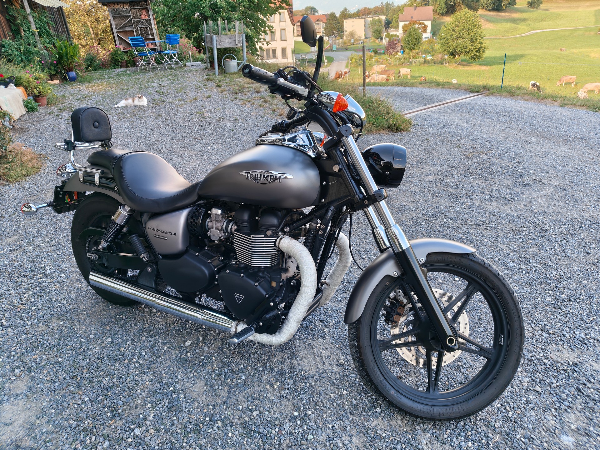 TRIUMPH Speedmaster 900 i-image-0
