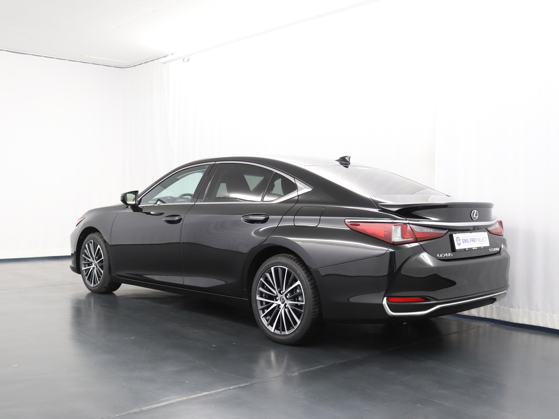 LEXUS ES 300h Excellence-image-5