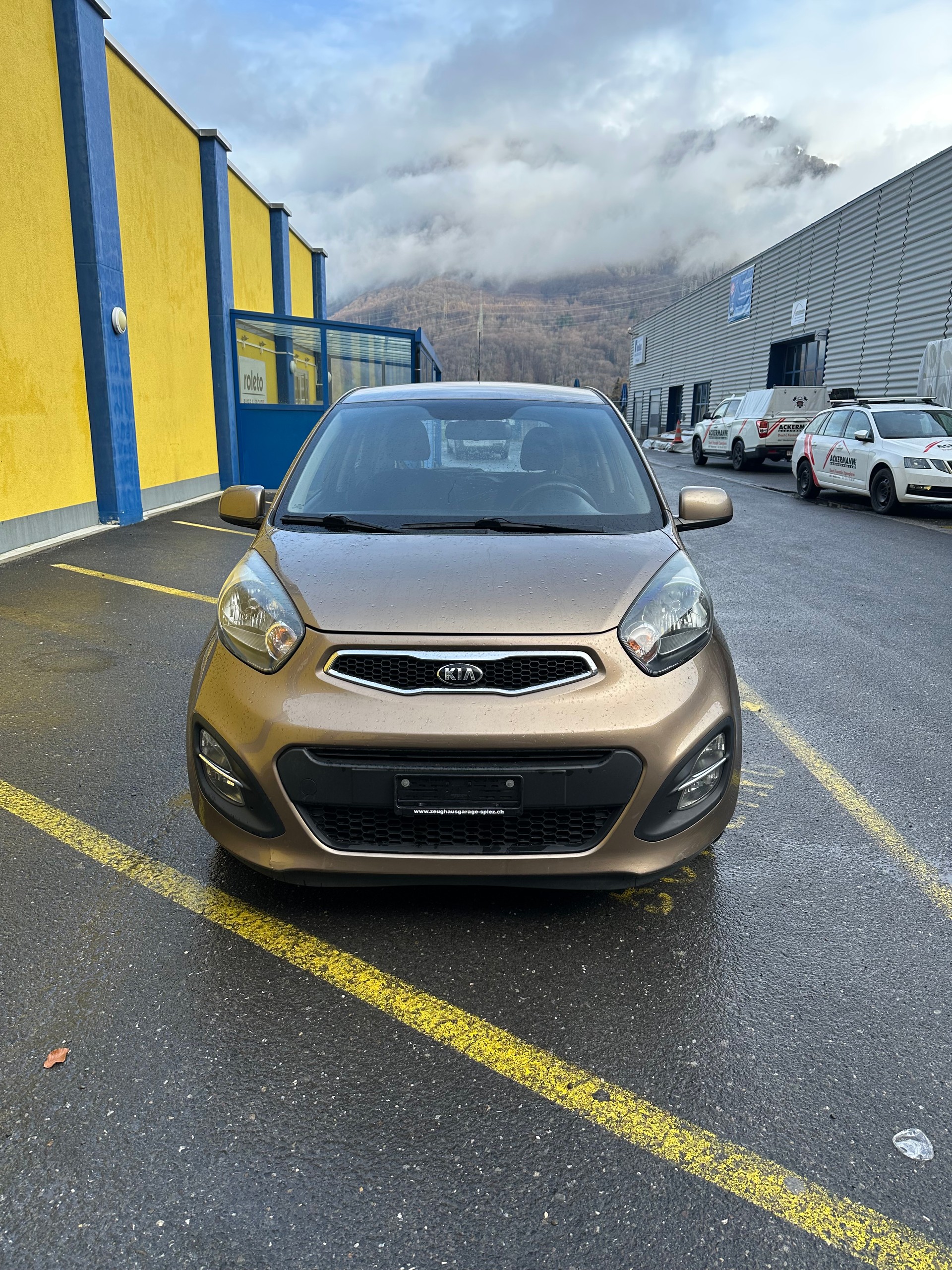 KIA Picanto 1.2 CVVT Trend-image-1