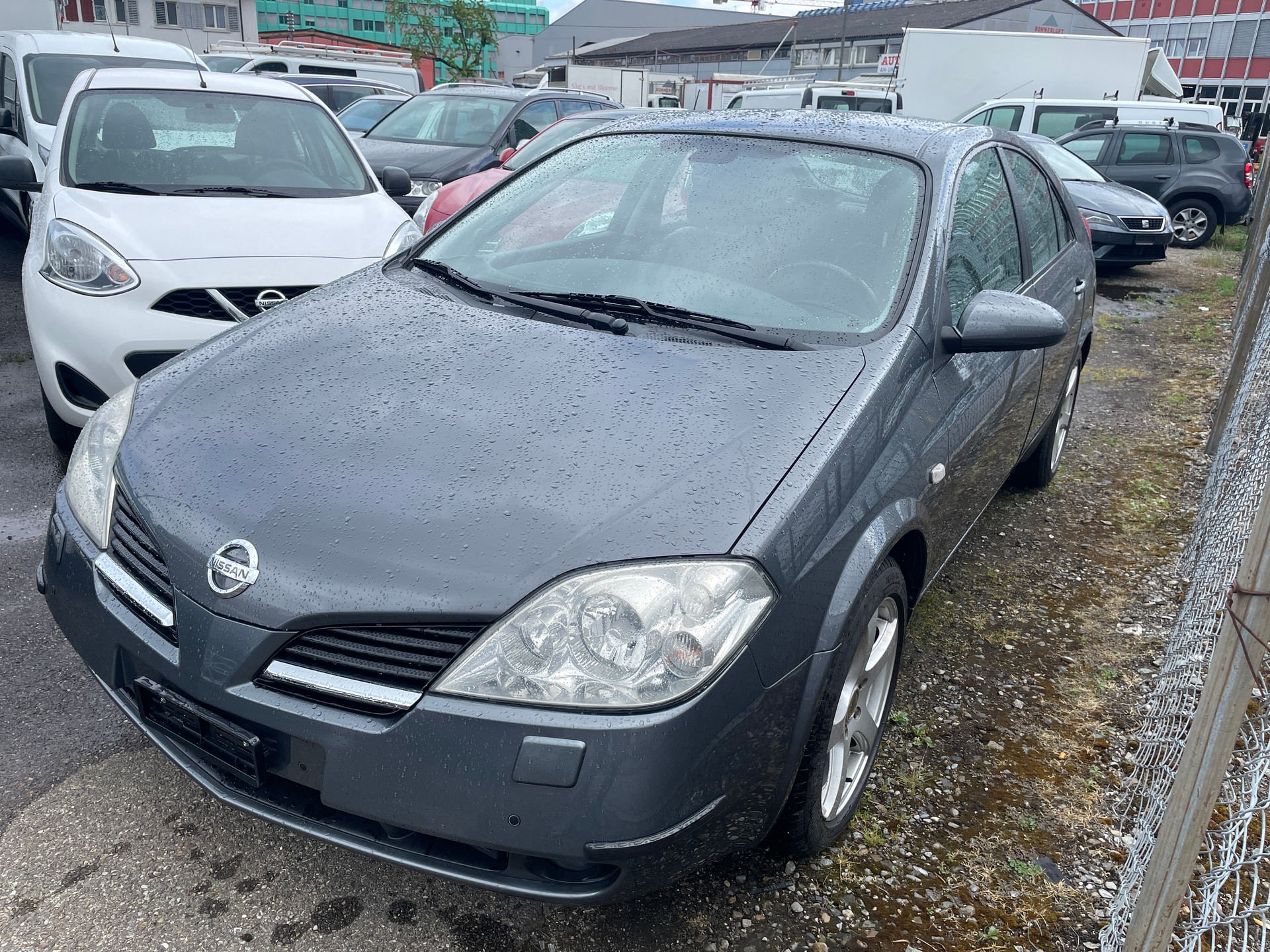 NISSAN Primera 2.0 business-image-4