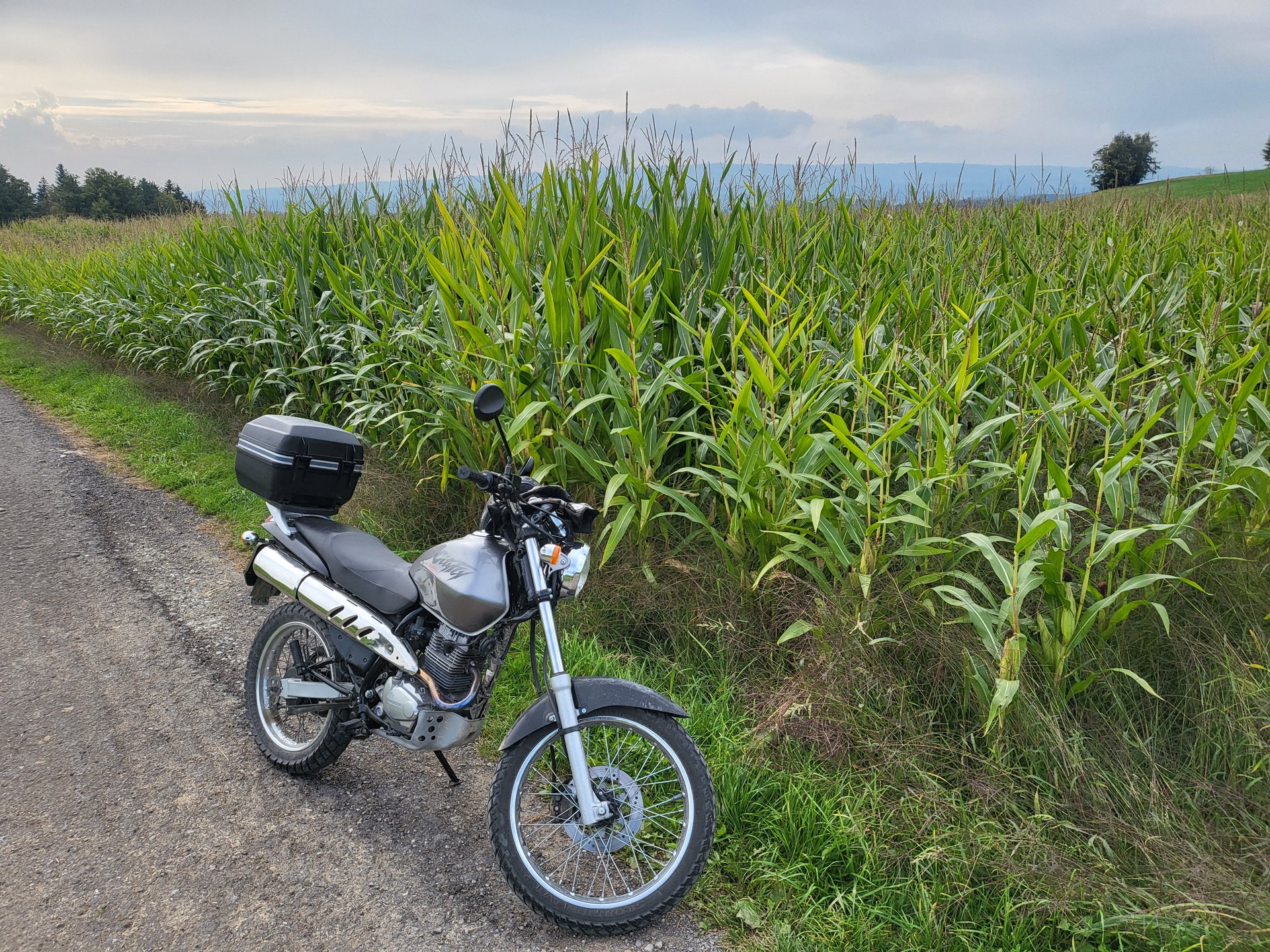 HONDA CLR 125 City Fly-image-3