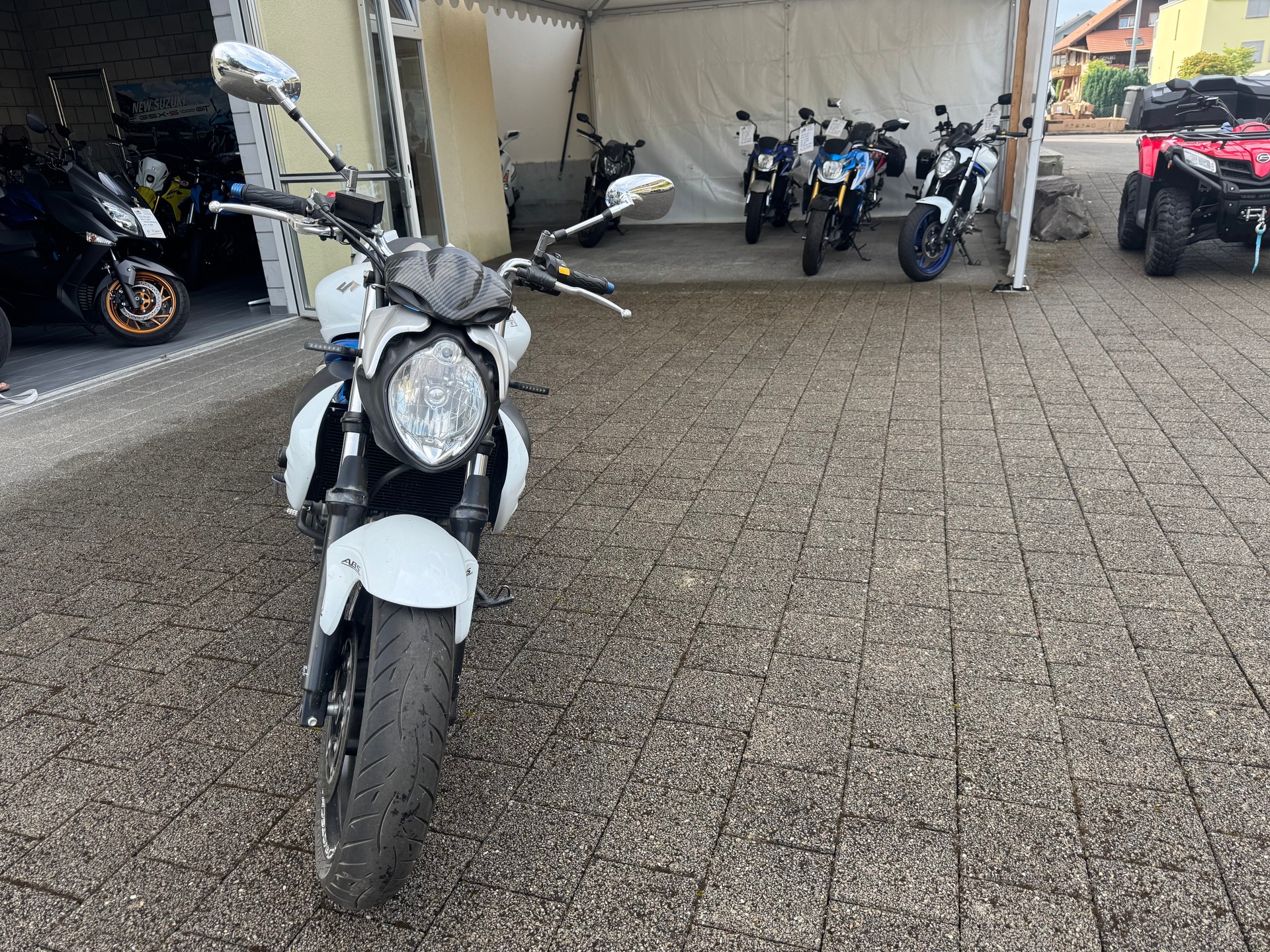SUZUKI SFV 650 Gladius ABS (25kW)-image-1