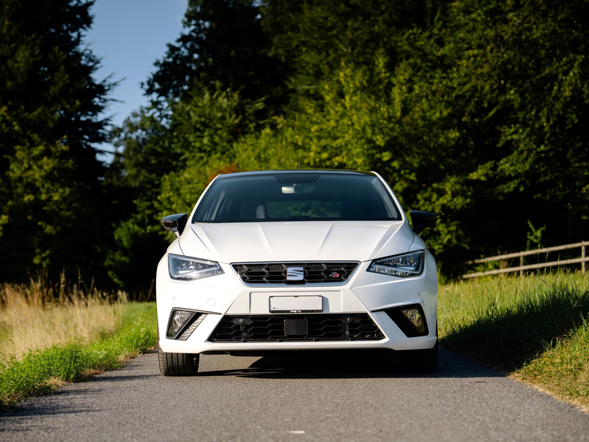 SEAT 1.0 TSI 115 Swiss FR DSG-image-1
