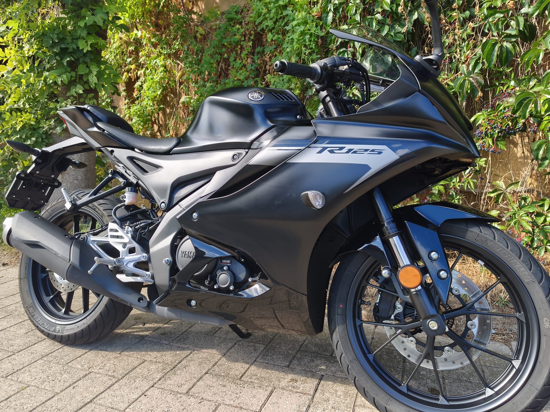 YAMAHA YZF-R 125 ABS-image-2