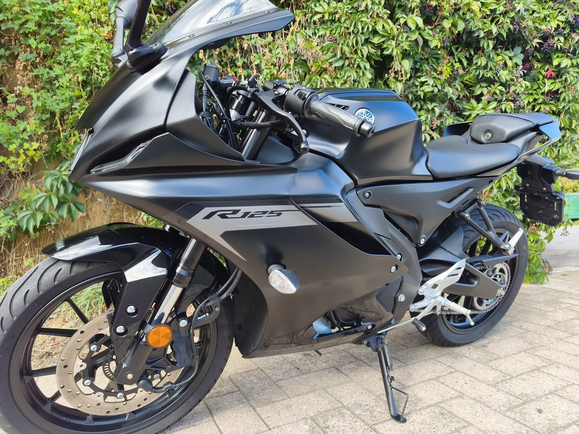 YAMAHA YZF-R 125 ABS-image-6