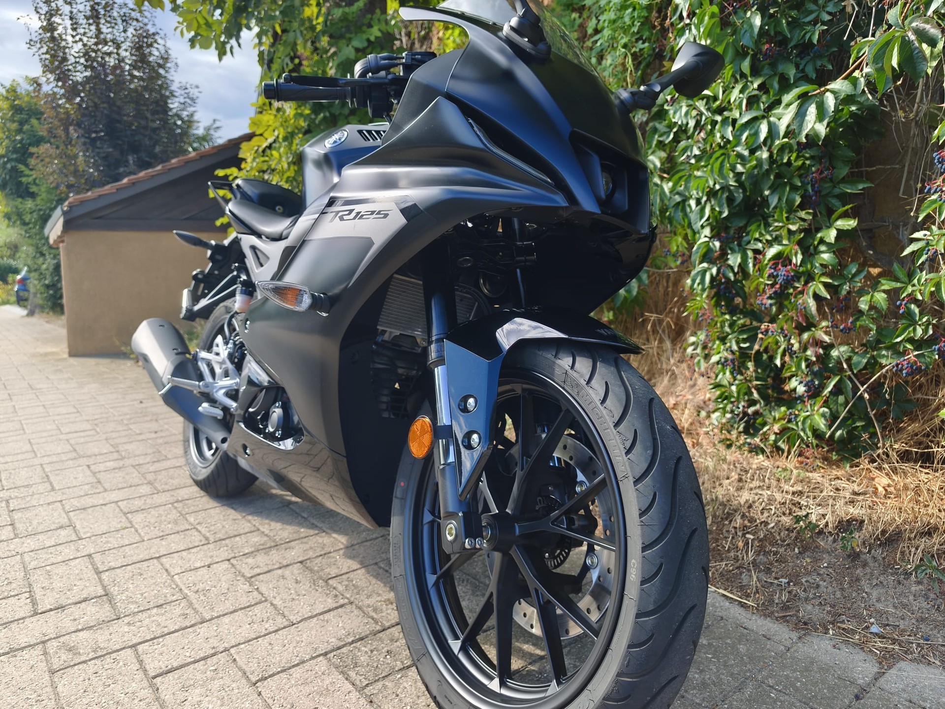 YAMAHA YZF-R 125 ABS-image-3