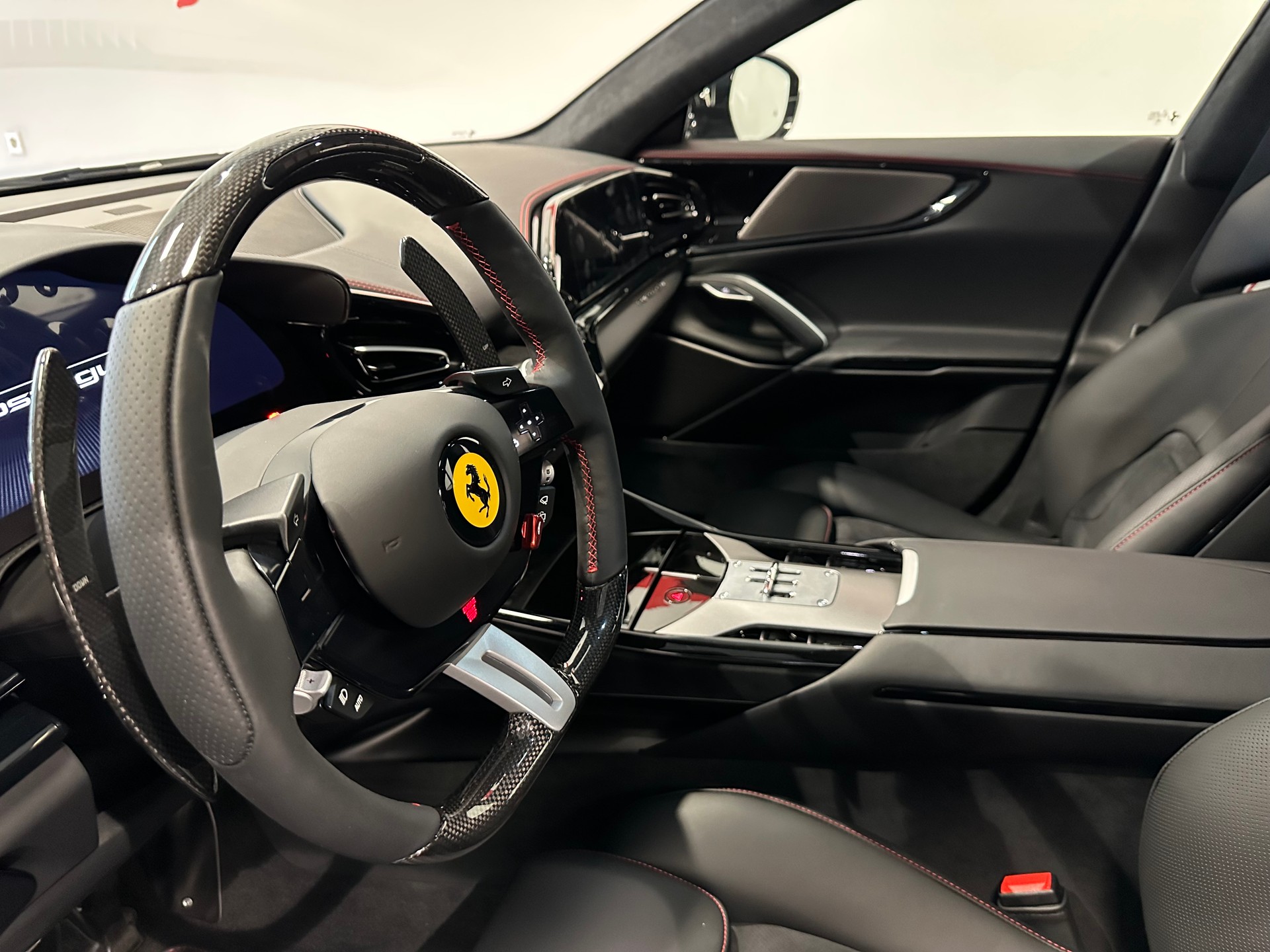 FERRARI PUROSANGUE-image-10