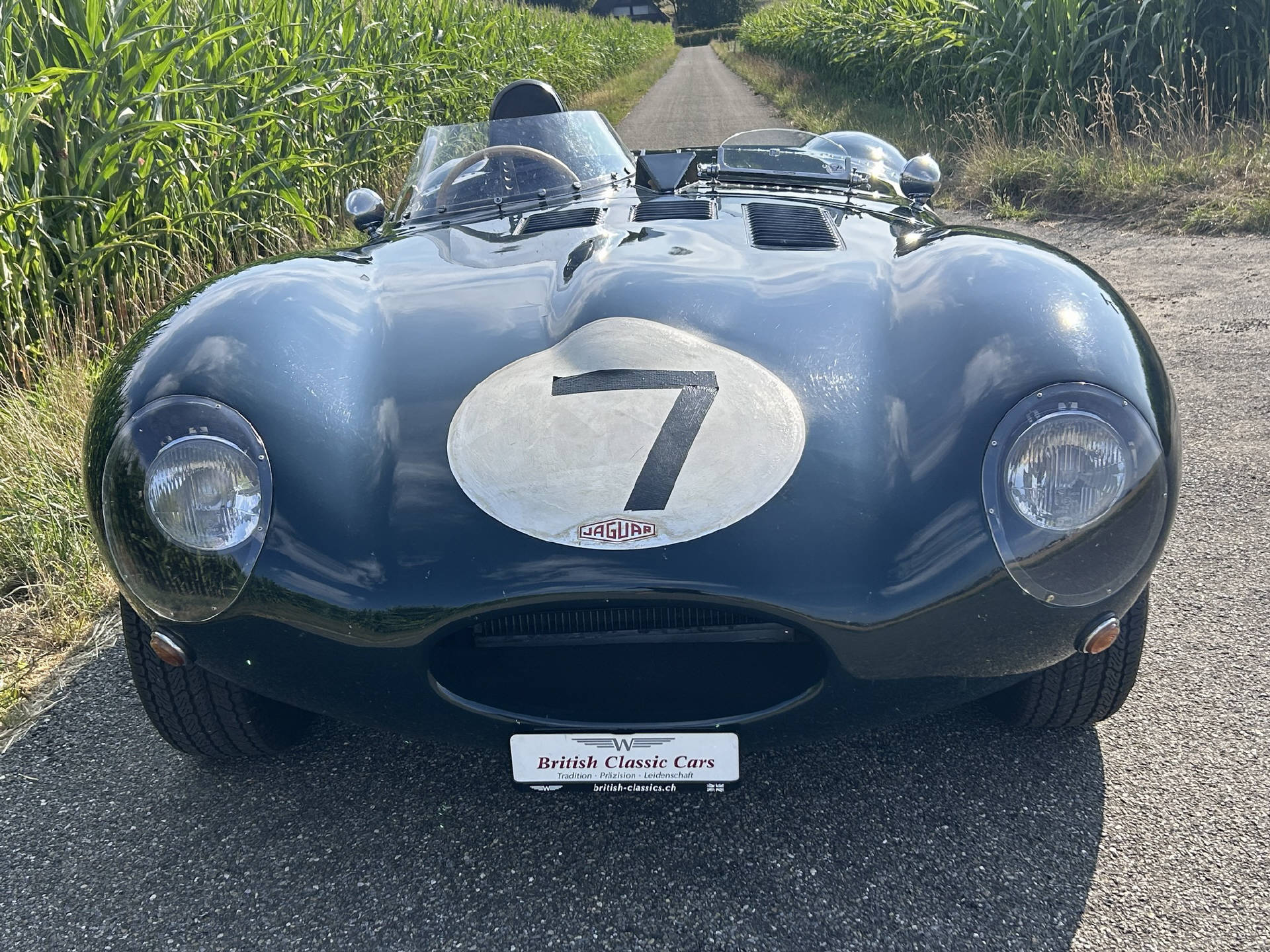 JAGUAR D-Type Replika-image-4