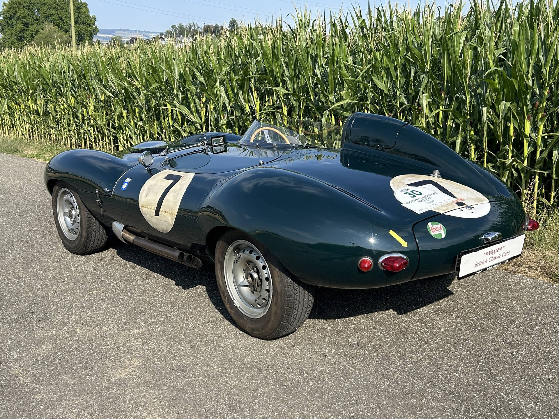 JAGUAR D-Type Replika-showroom-element-2