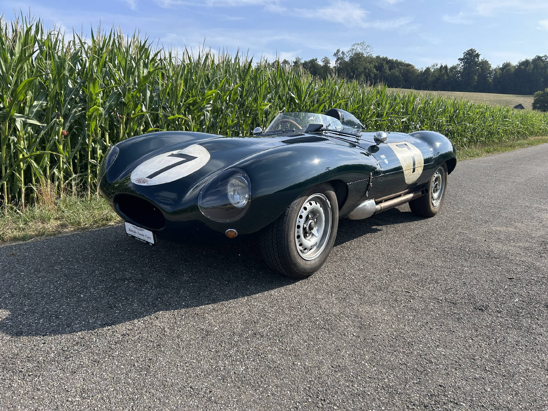 JAGUAR D-Type Replika