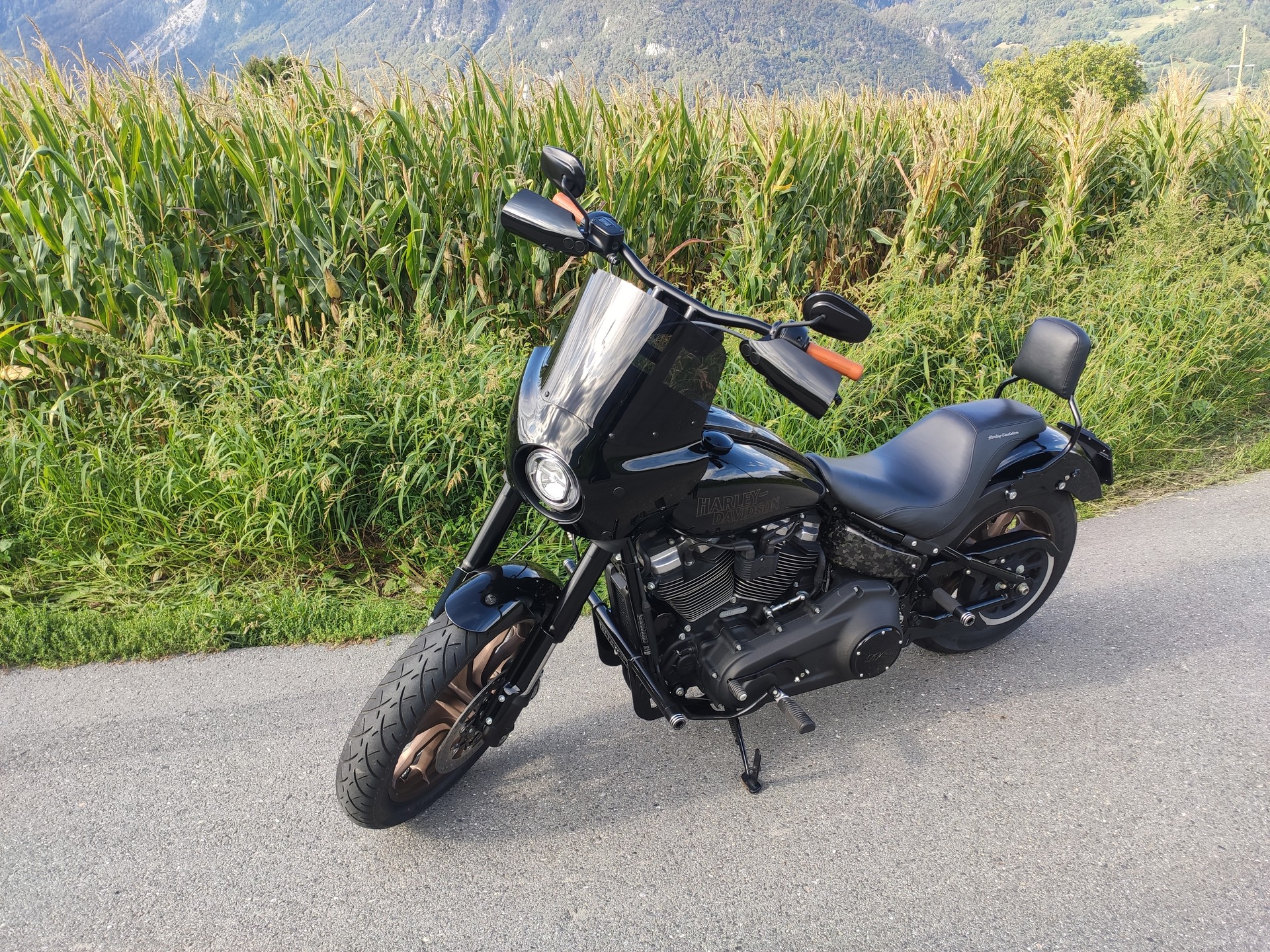 HARLEY-DAVIDSON FXLRS Low Rider S 114 ABS-image-2