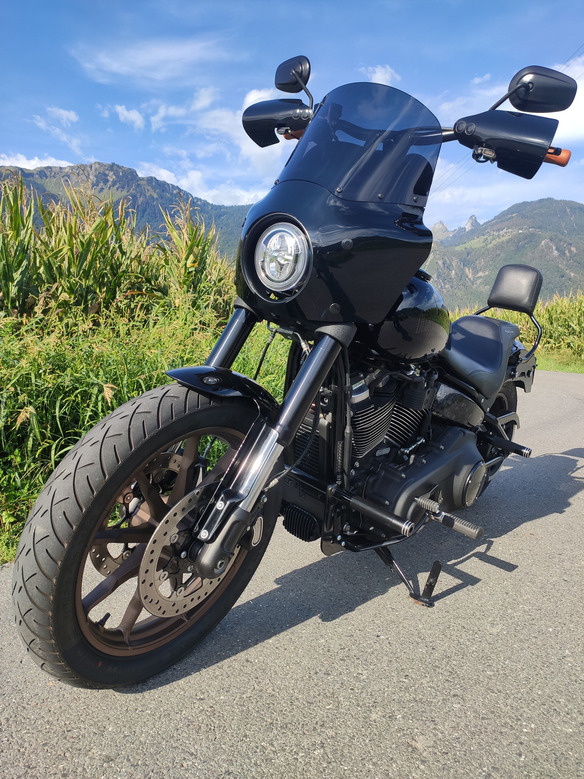 HARLEY-DAVIDSON FXLRS Low Rider S 114 ABS-image-1
