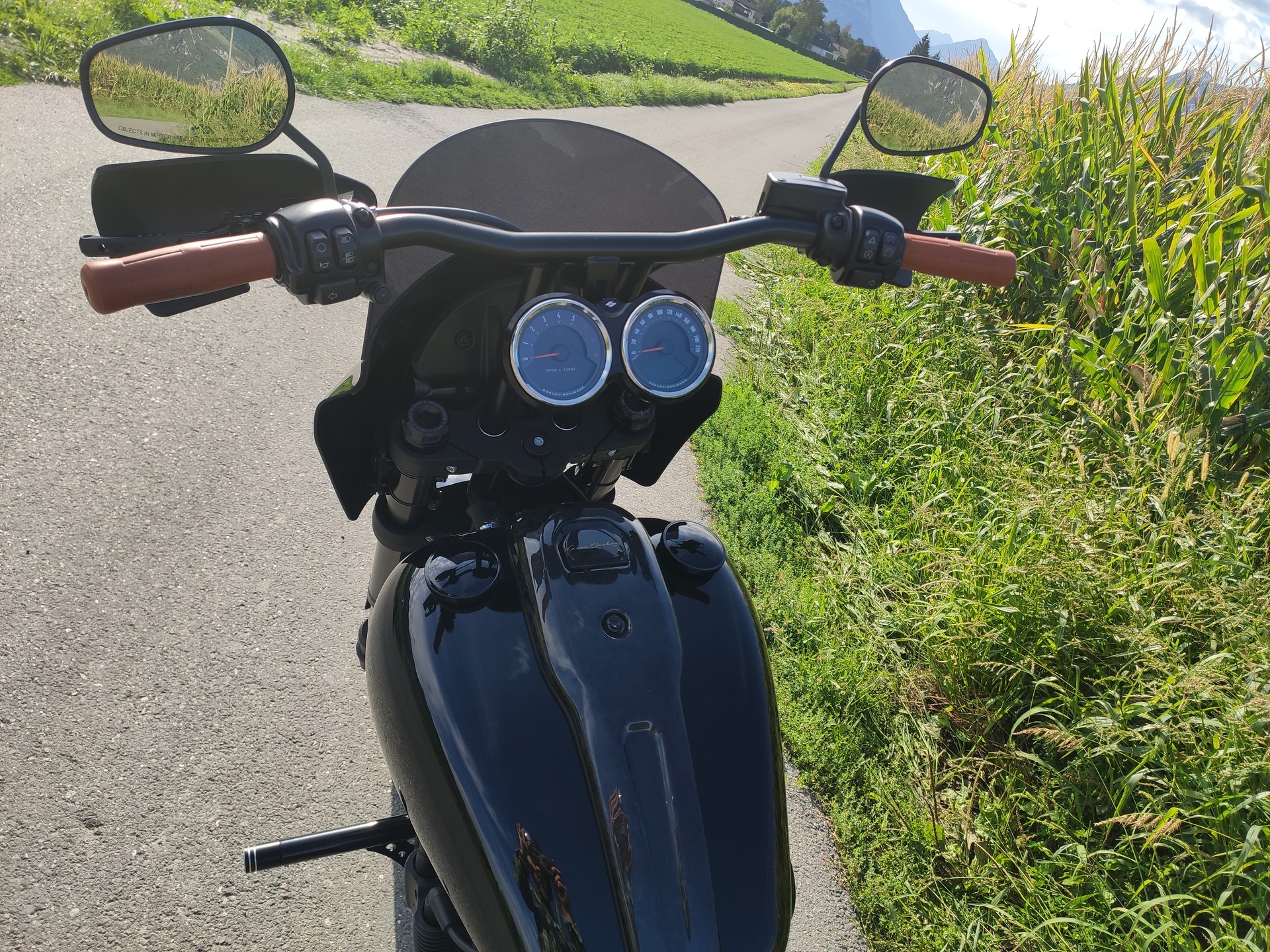 HARLEY-DAVIDSON FXLRS Low Rider S 114 ABS-image-7