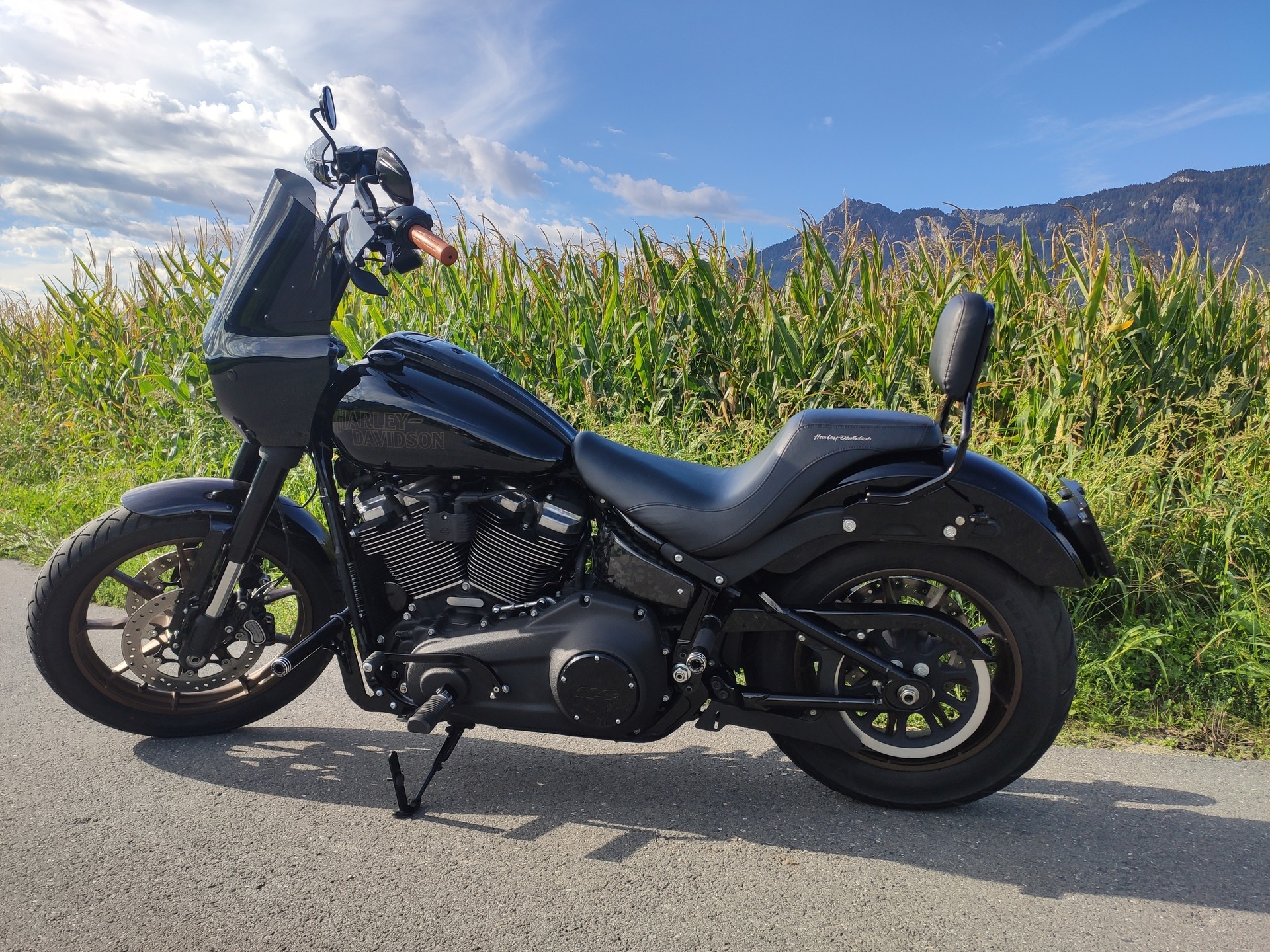 HARLEY-DAVIDSON FXLRS Low Rider S 114 ABS-image-0