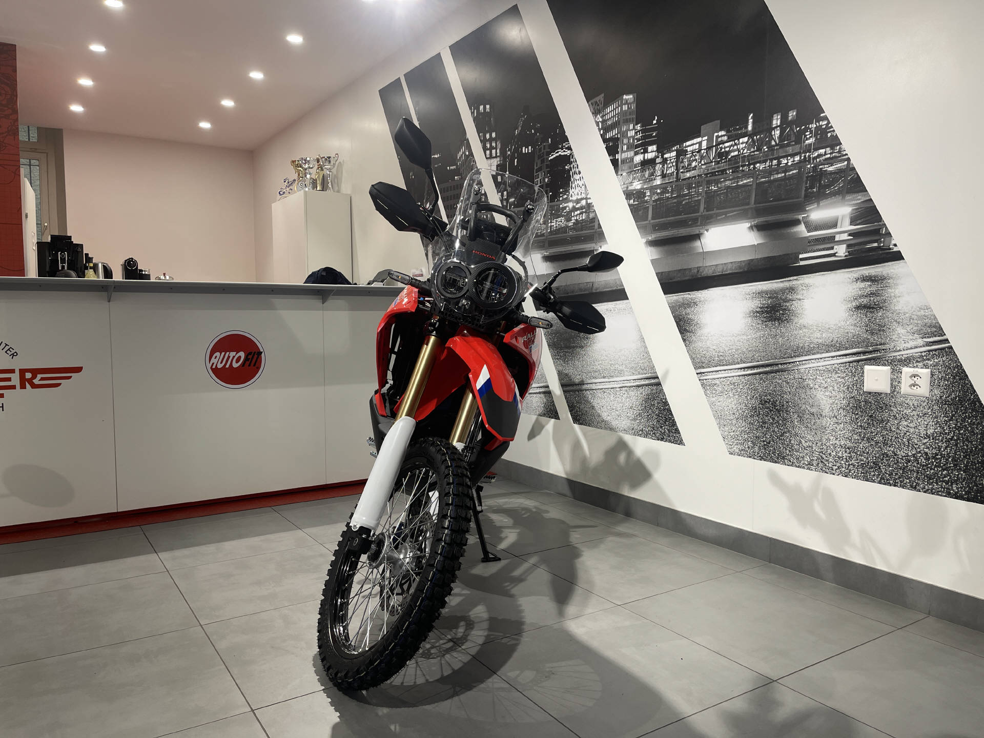 HONDA CRF 300 Rally ABS | Adventure Bike | Offroad | Garantie-image-5