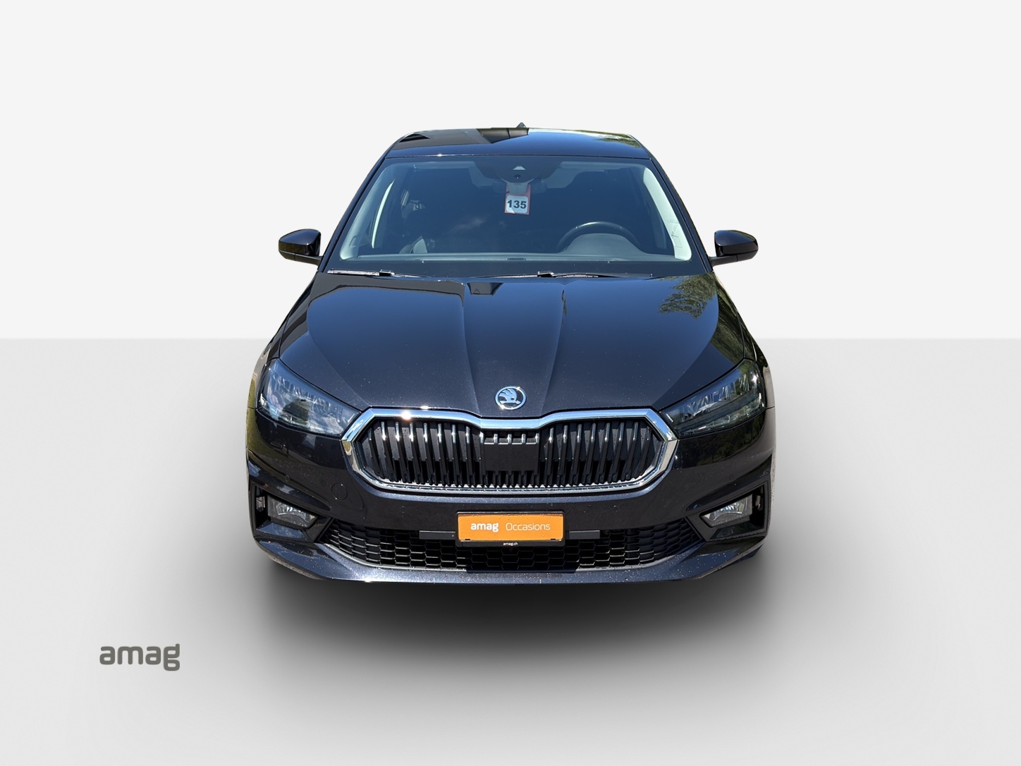SKODA Fabia 1.0 TSI Ambition-image-6