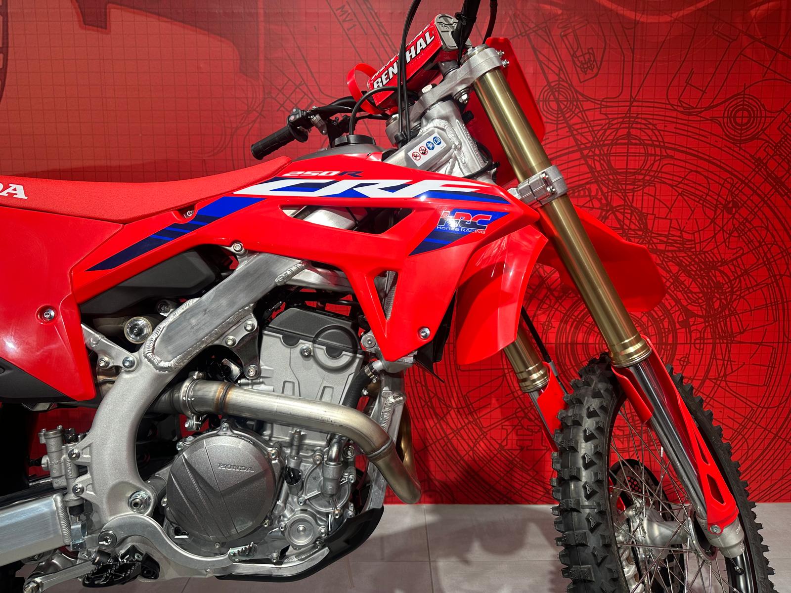 HONDA CRF250 NEU 2024-image-3