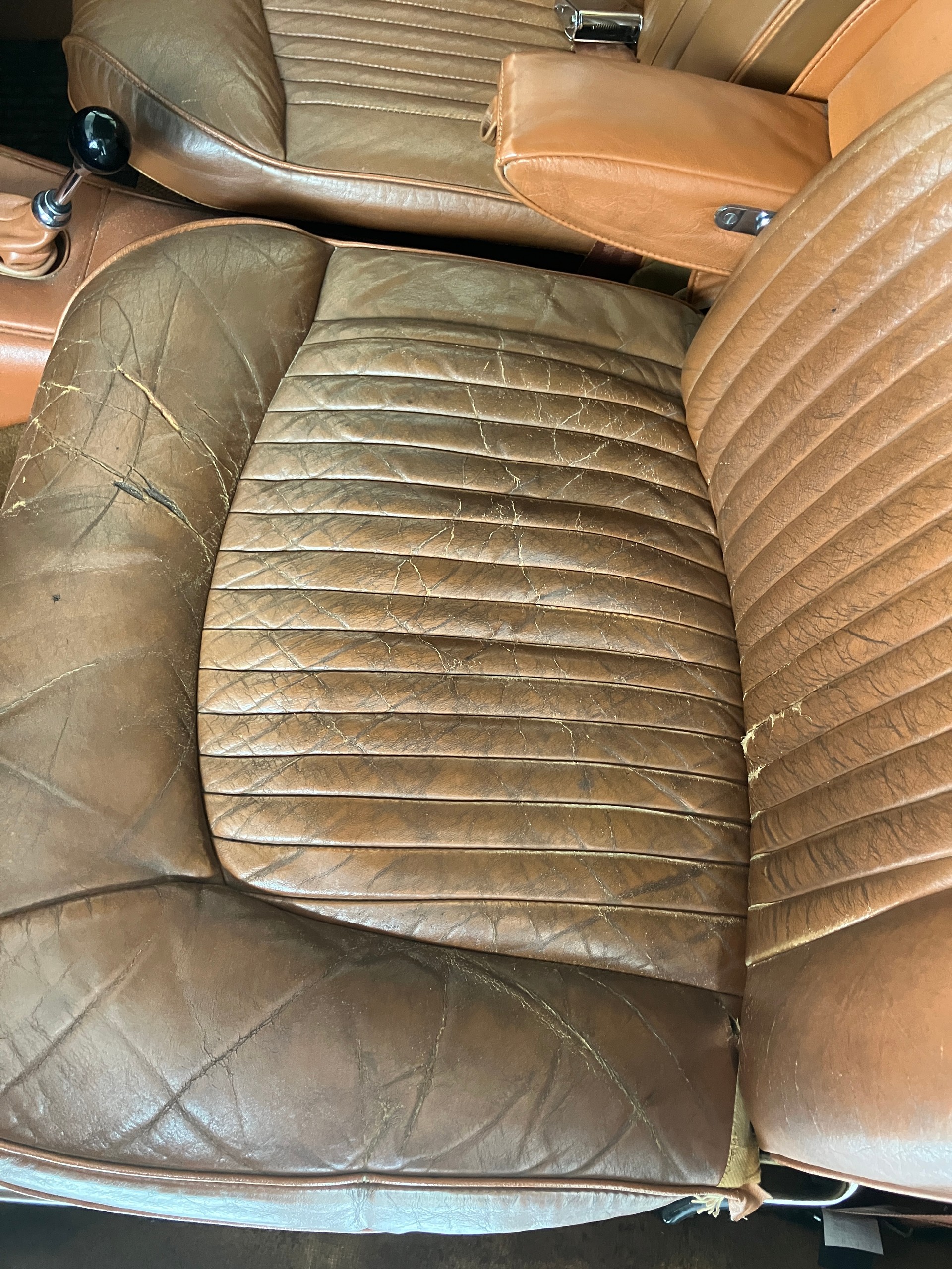 JAGUAR 420-image-8