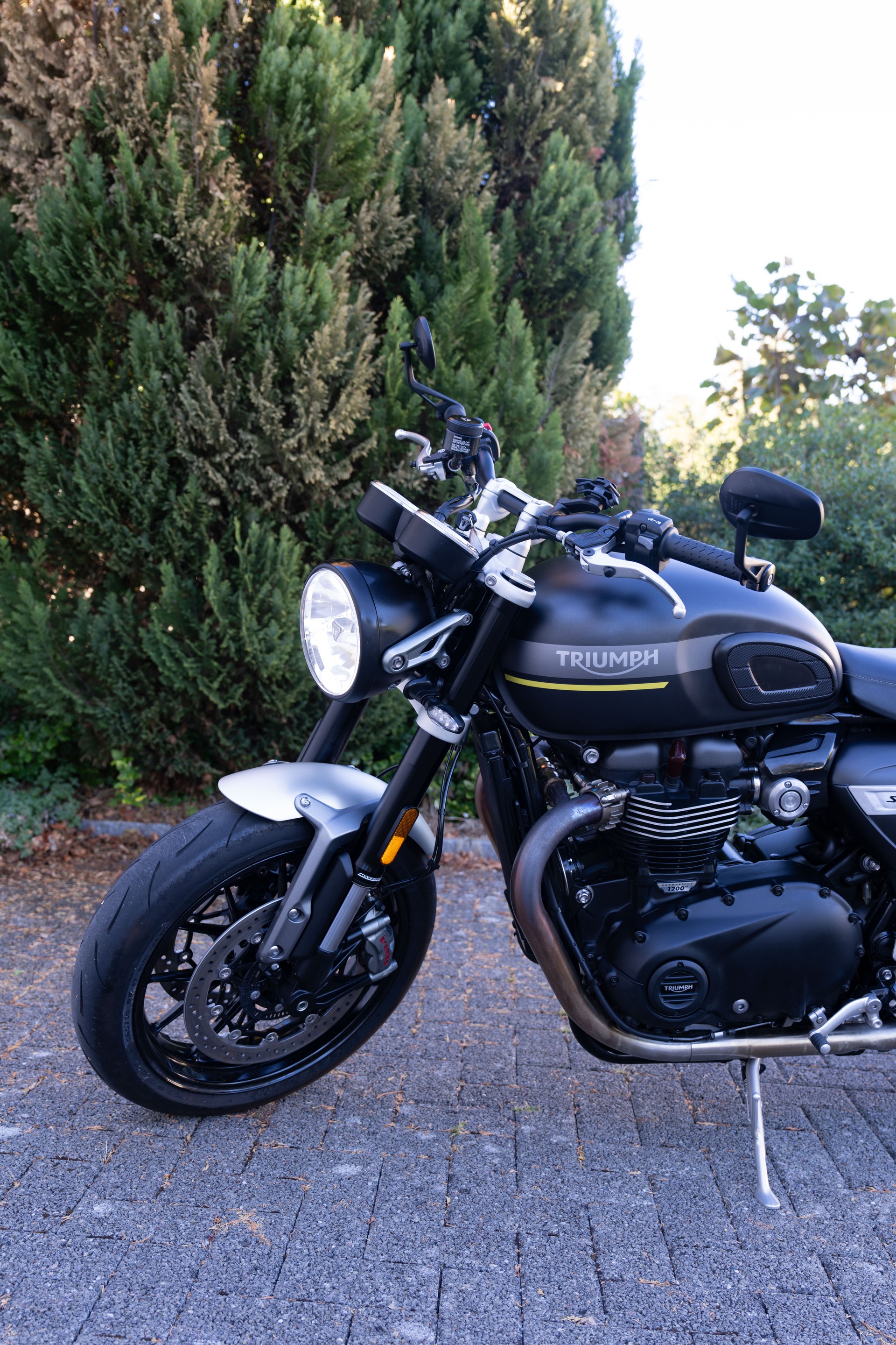 TRIUMPH Street Twin 1200-image-6