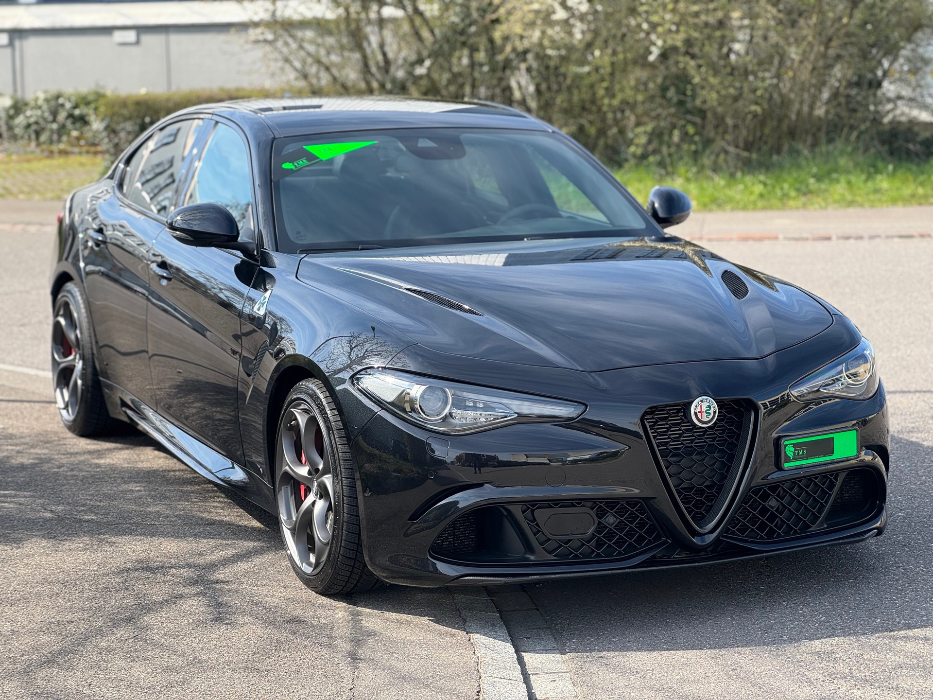 ALFA ROMEO Giulia 2.9 V6 Quadrifoglio Automatic