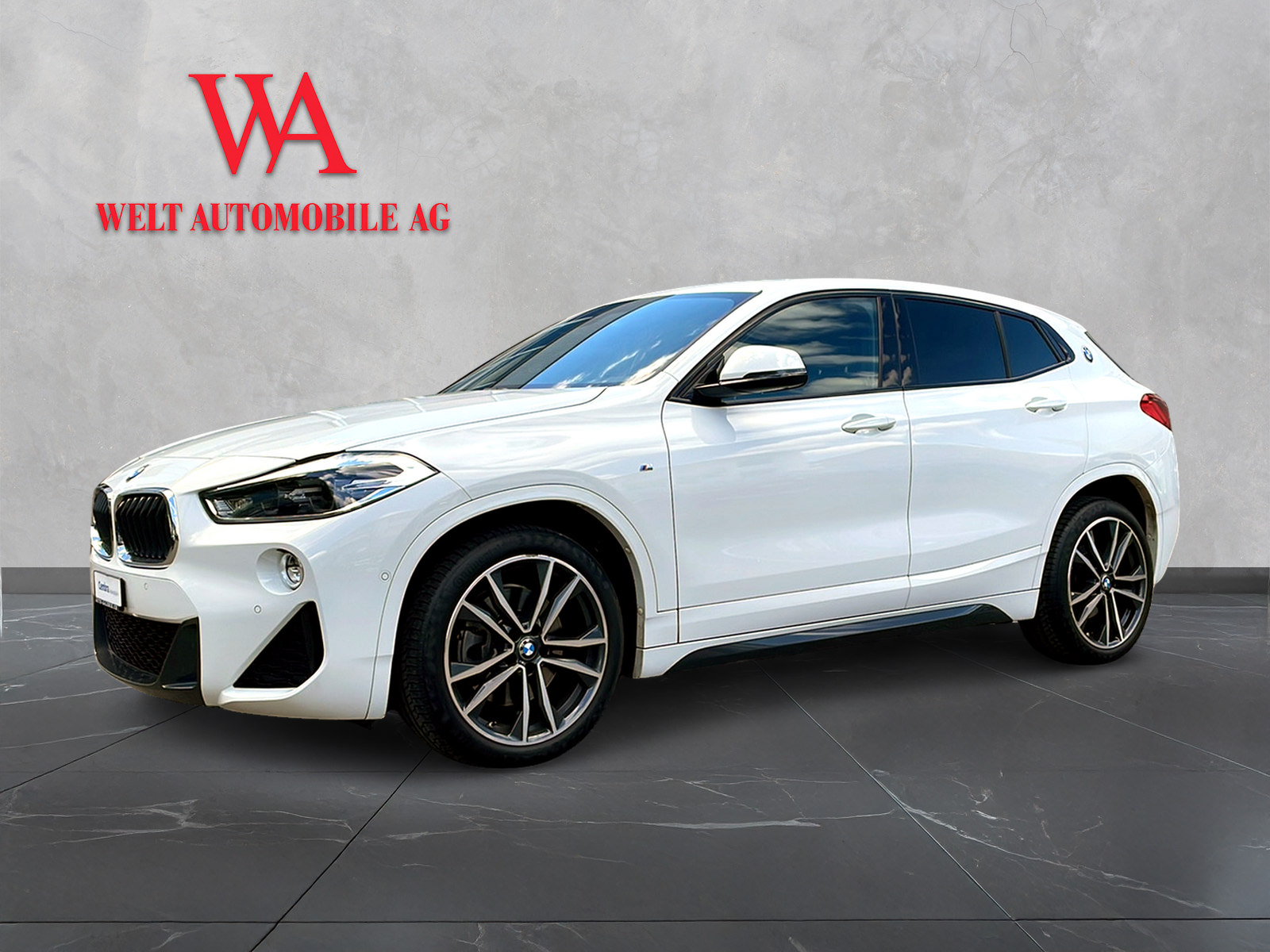 BMW X2 xDrive 20d M Sport X Steptronic