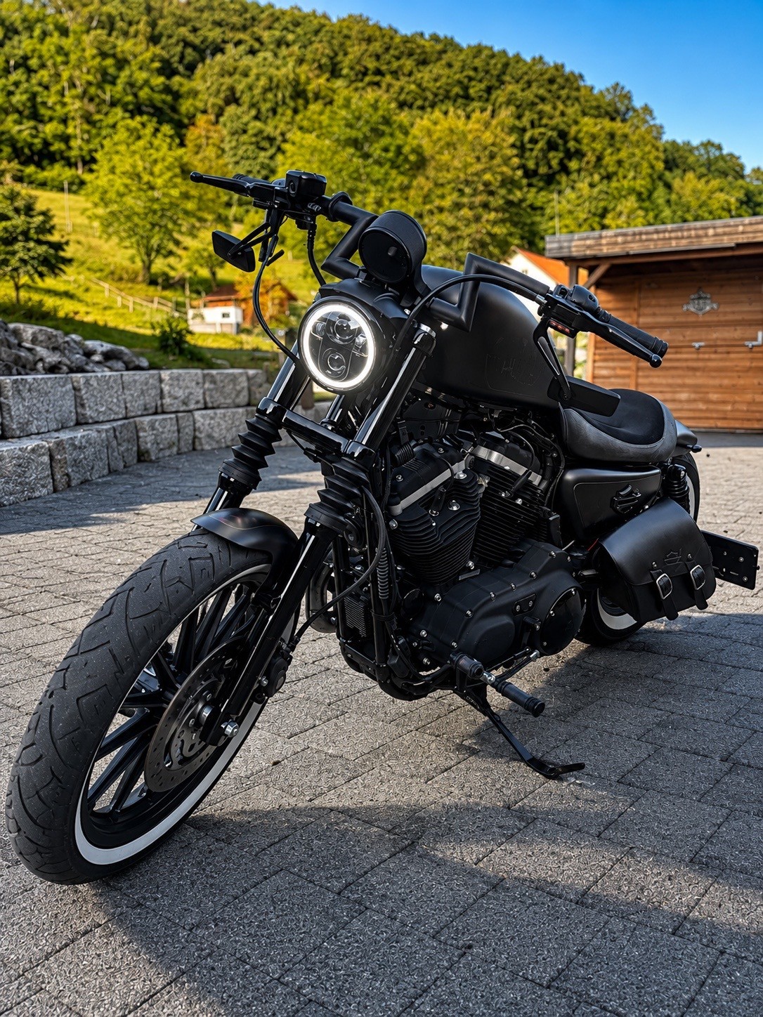 HARLEY-DAVIDSON XL 883 N Sportster Iron-image-2