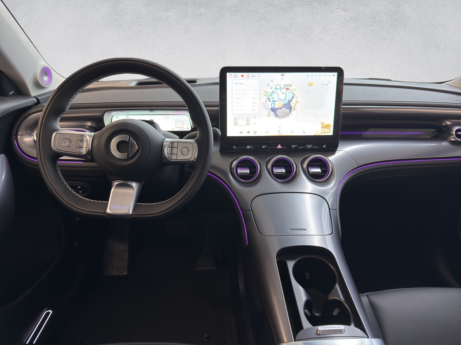 SMART #3 Premium 66 kWh, 22kW-image-13