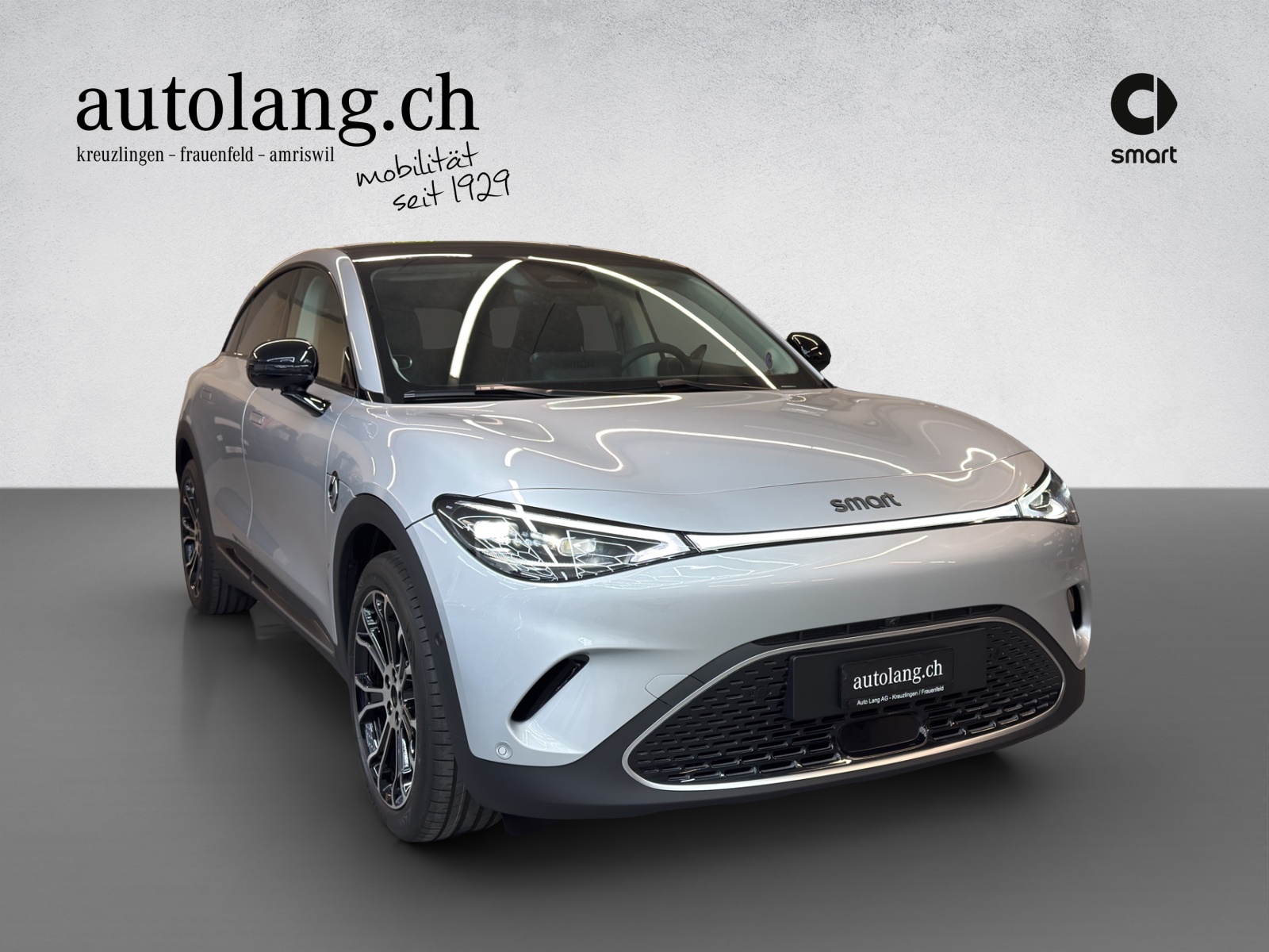SMART #3 Premium 66 kWh, 22kW-image-4