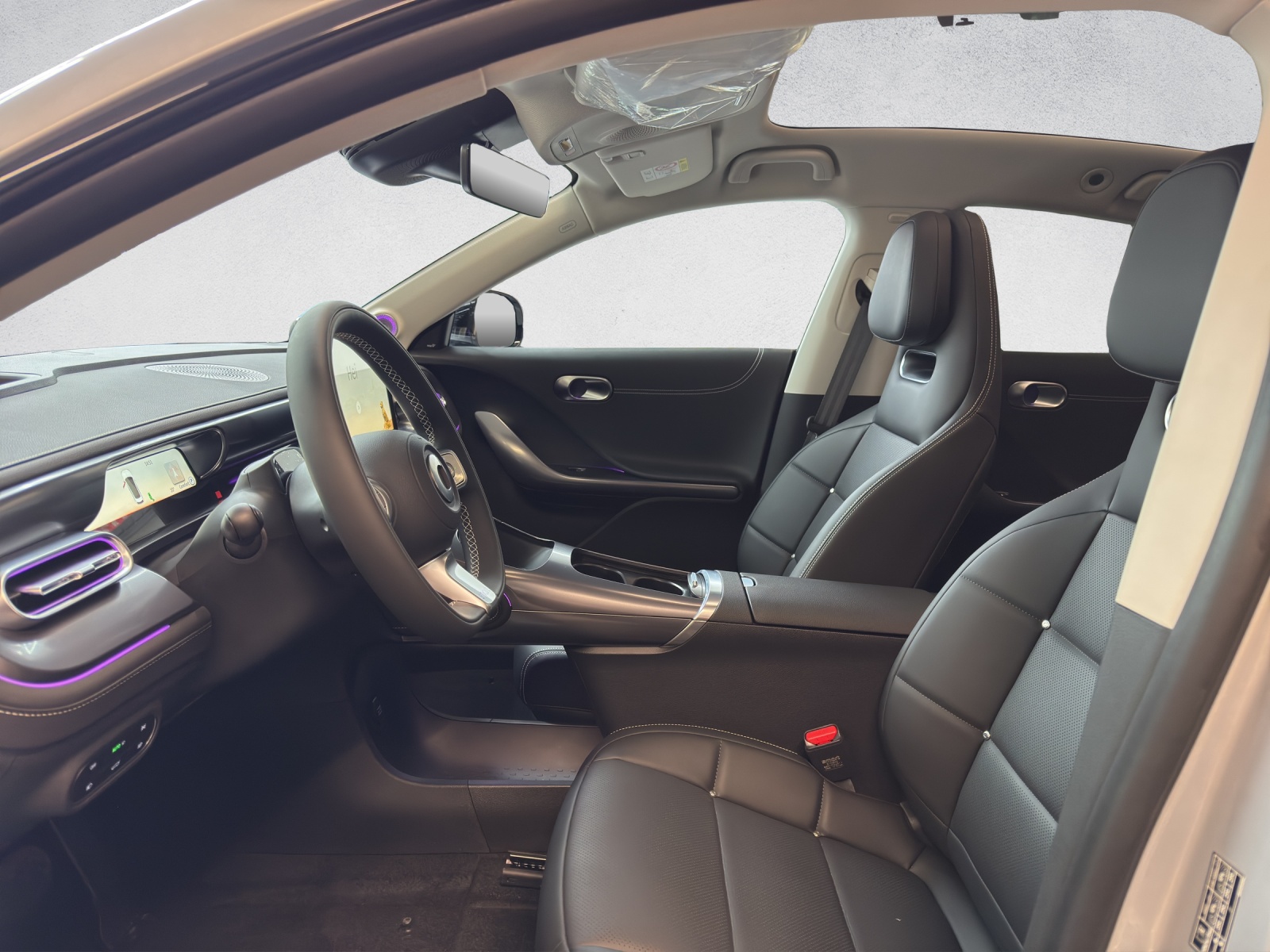 SMART #3 Premium 66 kWh, 22kW-image-9
