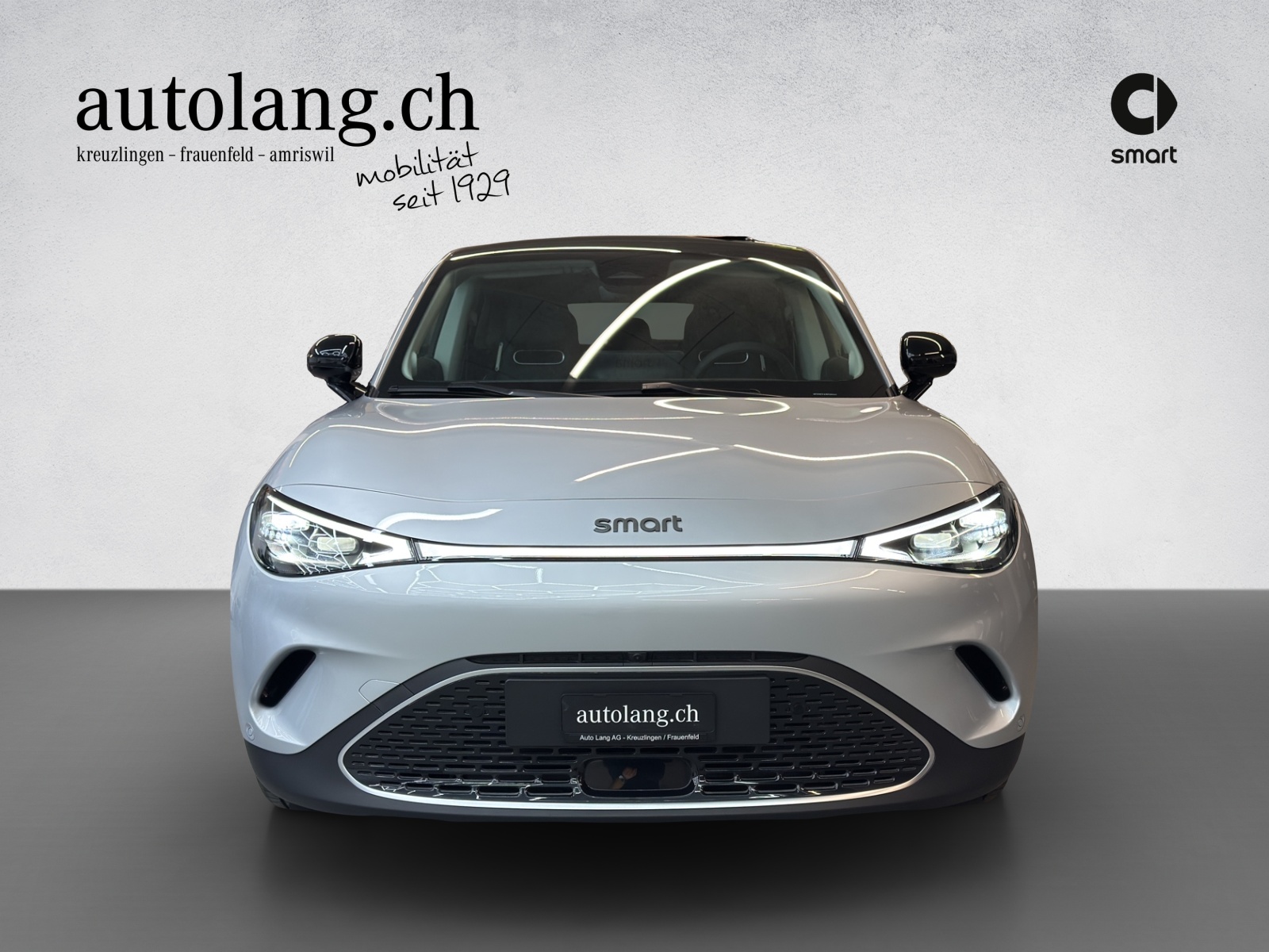 SMART #3 Premium 66 kWh, 22kW-image-14