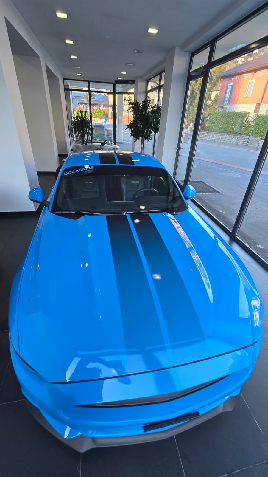 FORD Mustang Fastback 5.0 V8 GT Blue Edition-image-7