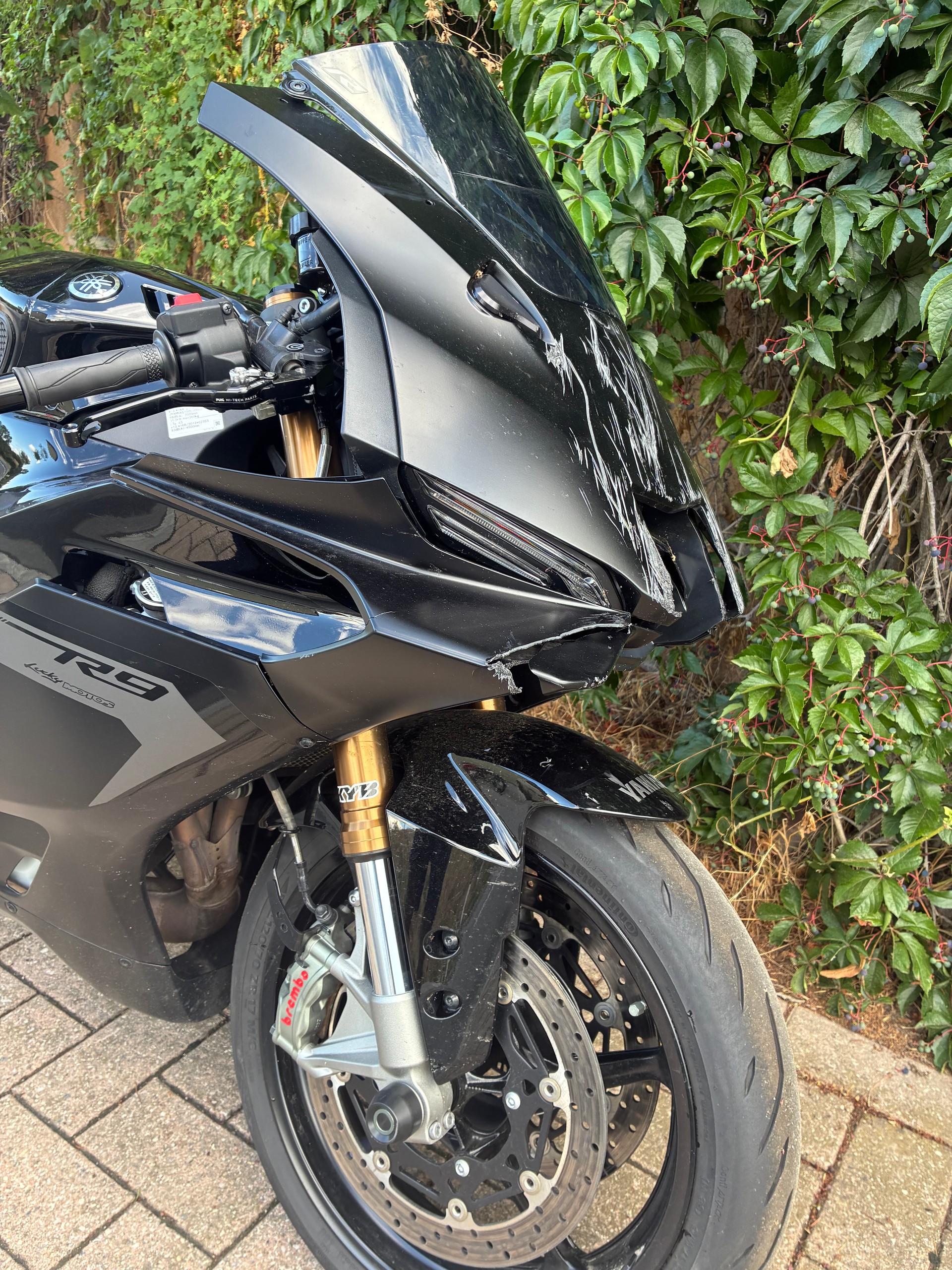 YAMAHA YZF-R9-image-6