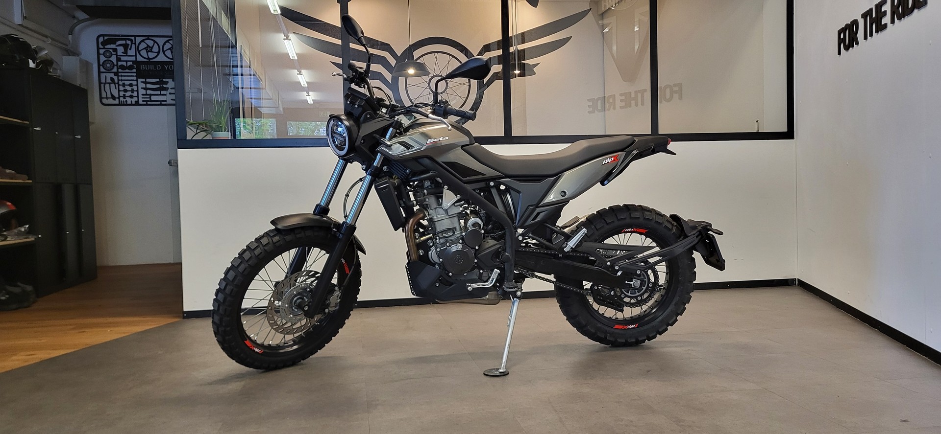 BETA ALP X-image-2
