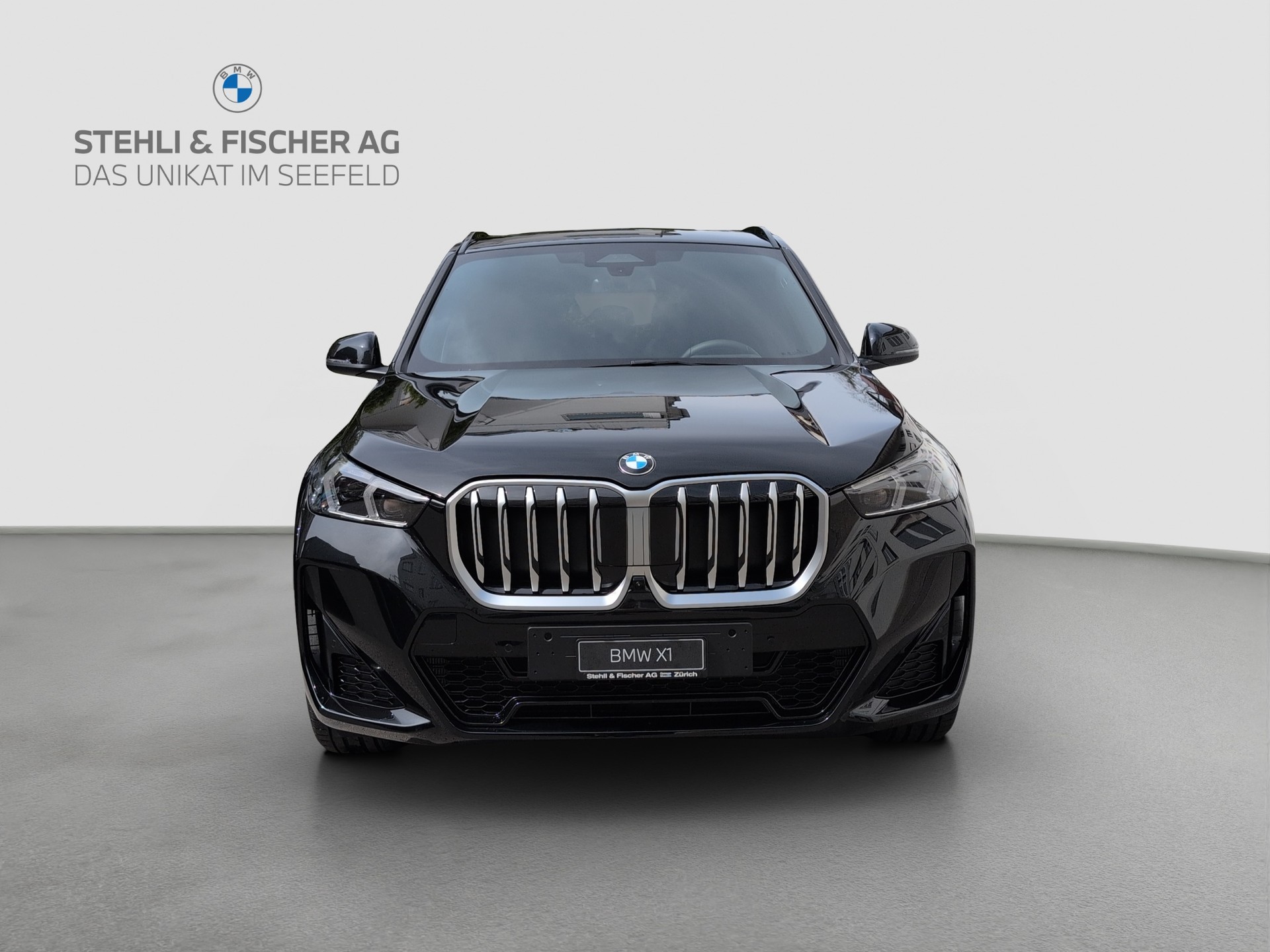 BMW X1 xDrive 20d 48V M Sport-showroom-element-2